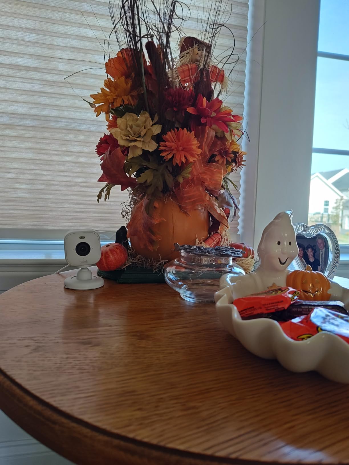 Blink Mini 2 — Home Security & Pet Camera with HD video, color night view, motion detection, two-way audio, and built-in spotlight — 1 camera (White) - Customer Photo 4