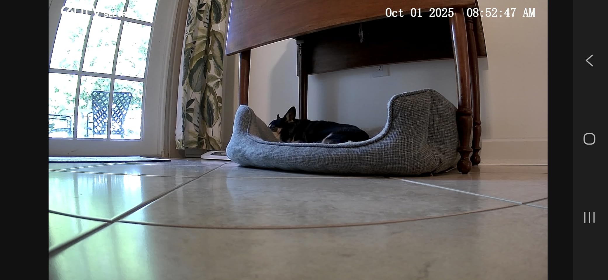 eufy Security HomeBase S380 (HomeBase 3),eufy Edge Security Center, Local Expandable Storage up to 16TB, eufy Security Product Compatibility, Advanced Encryption,2.4 GHz Wi-Fi, No Monthly Fee - Customer Photo 1