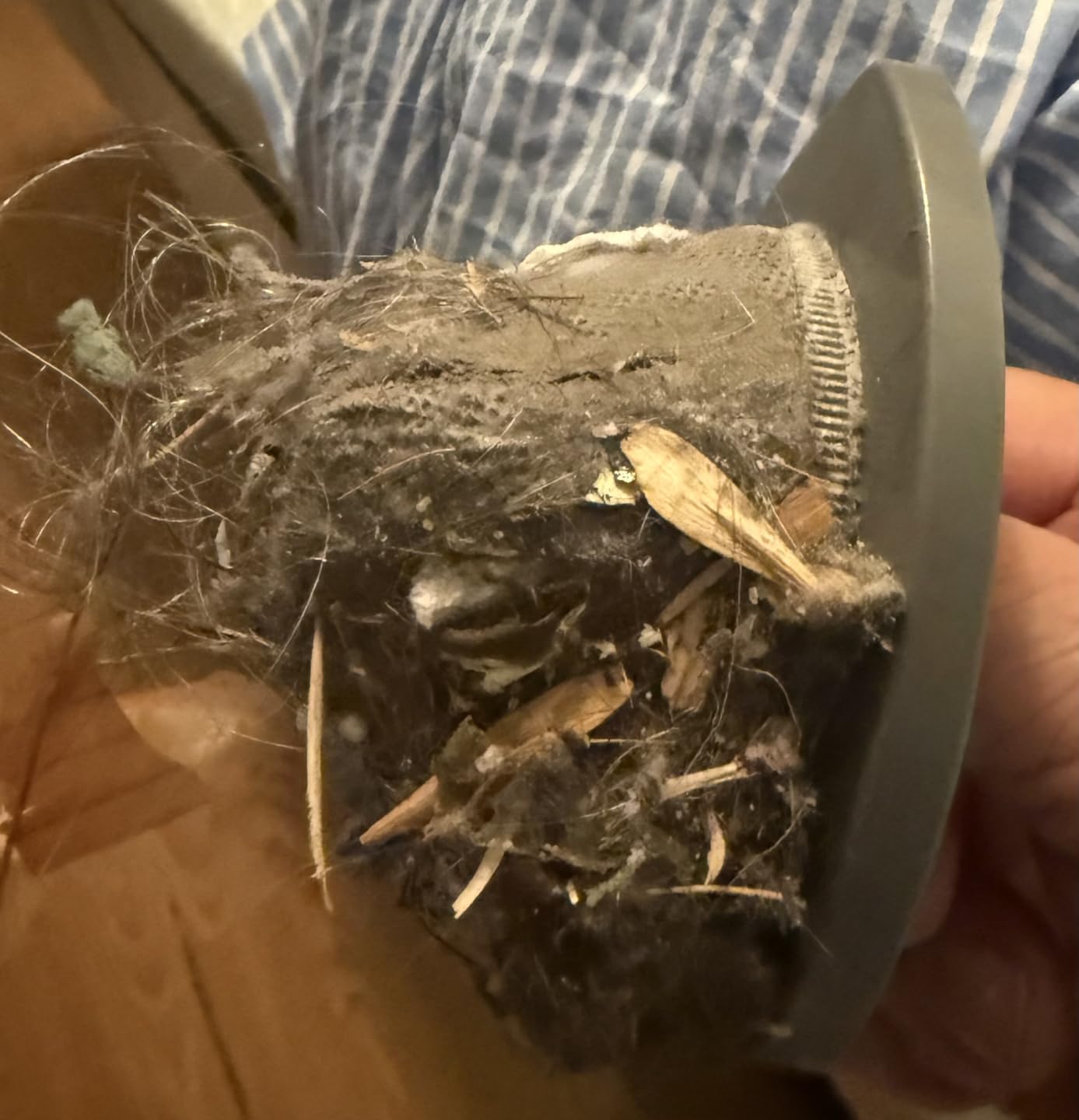 Bissell Cleanview XR Pet 300W Cordless Vacuum with Removable Battery, 3797V - Customer Photo 2