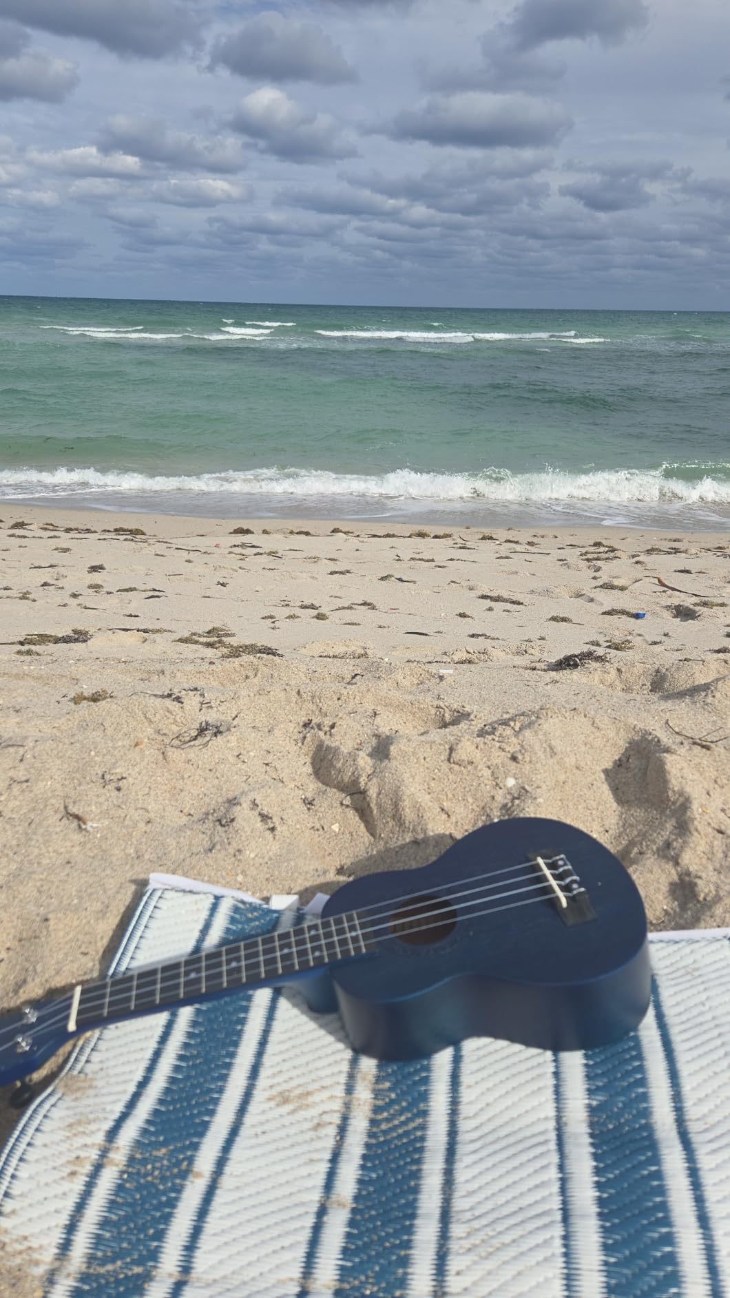 AODSK Soprano Ukulele for Beginner 21 Inch Ukelele with Gig Bag Strap Nylon String 4 Picks Holiday Gift - Customer Photo 1