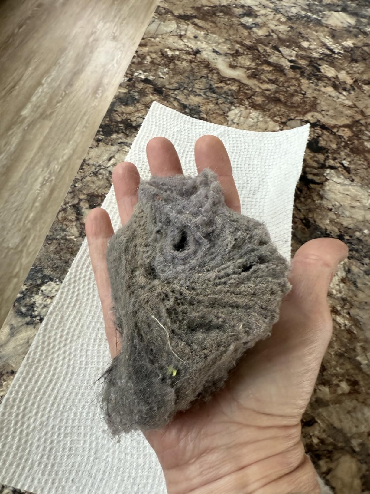 roborock Q8 Max Robot Vacuum and Mop Cleaner, DuoRoller Brush, 5500Pa Strong Suction, Lidar Navigation, Obstacle Avoidance, Multi-Level Mapping, Perfect for Pet Hair - Customer Photo 3