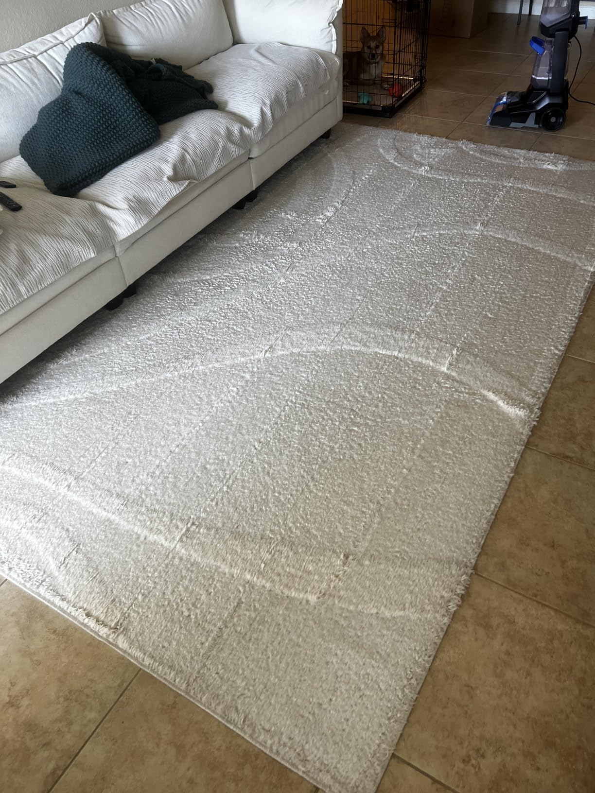 TurboClean Pet XL Upright Carpet Cleaner, Upholstery Tough Stain Tool & Formula included, 3746 customer photo 1