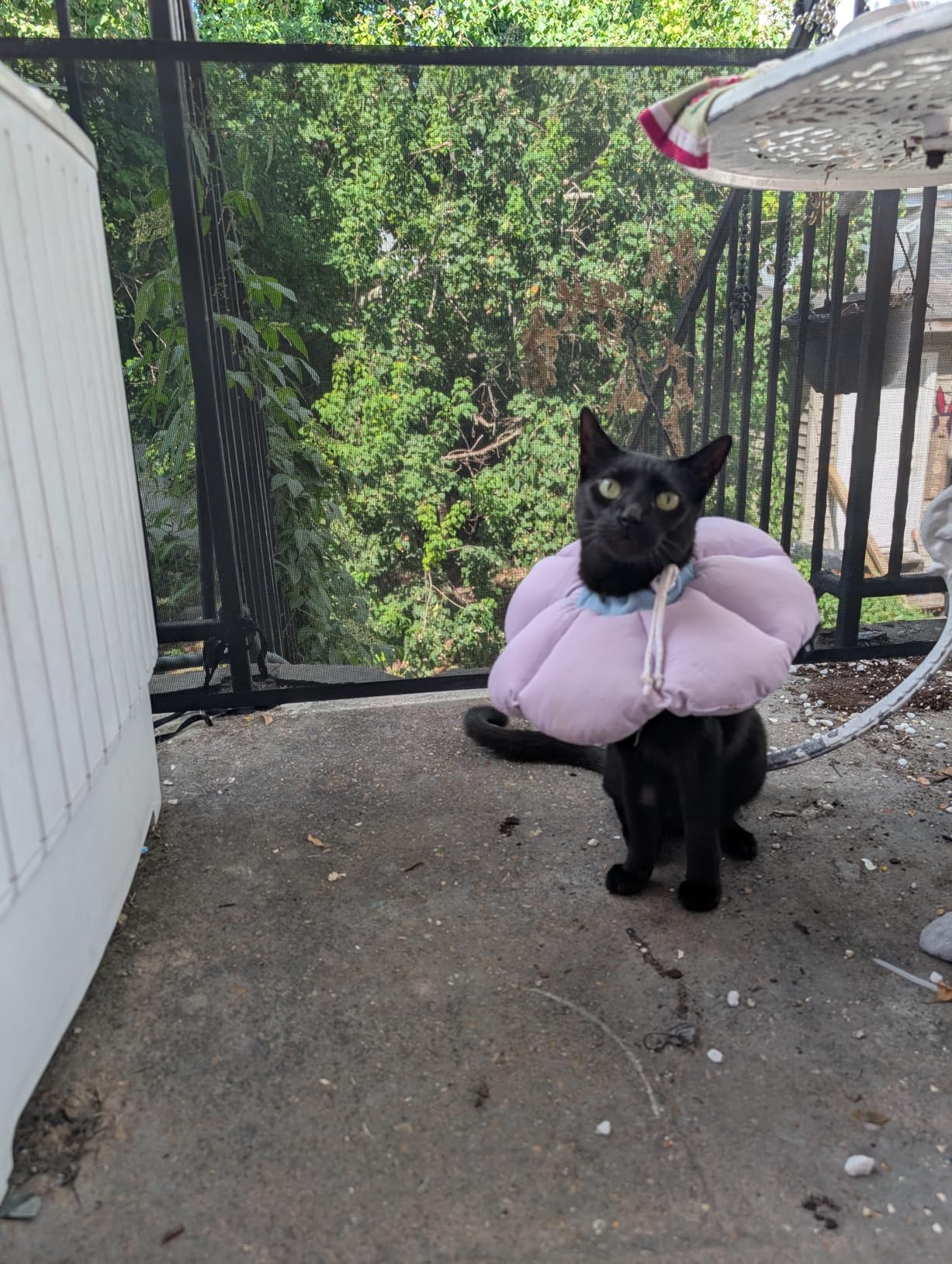 probebi Retractable Baby, Child & Dog Gates for Stairs, Extends to 54