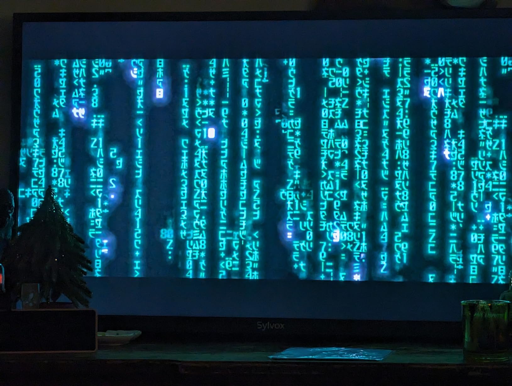 SYLVOX Smart Outdoor TV, 43 inch Outdoor Television Upgraded Google TV, 4K Weatherproof Outside TV, IP55 Waterproof, Google Assistant, Chromecast, 1000 nit Brightness for Partial Sun (Deck Pro 2.0) - Customer Photo 1