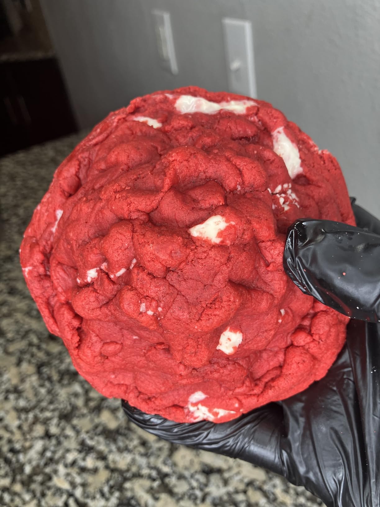 Garvee 7.5QT Stand Food Mixer, 10-Speed Tilt Head 3-IN-1 Kitchen Electric Mixer with Stainless Steel Bowl, Egg Whisk, Dough Hook, Beater, Splash Guard, Compact Dough Mixer for Home Cooks, Black Customer Review Garvee 7.5QT Stand Food Mixer, 10-Speed Tilt Head 3-IN-1 Kitchen Electric Mixer with Stainless Steel Bowl, Egg Whisk, Dough Hook, Beater, Splash Guard, Compact Dough Mixer for Home Cooks, Black - Customer Photo 5