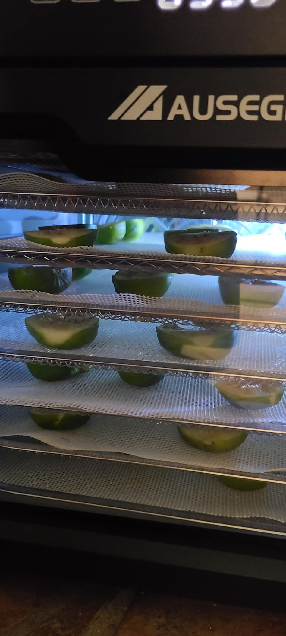 Commercial Large 12 Trays Food Dehydrator, Usable Area up to 22.67ft², 1200W Full Stainless Steel Dryer Machine, up to 190℉ Temperature, for Meat, Fruit, Veggies, Beef, Herbs, Pet Foods - Customer Photo 1