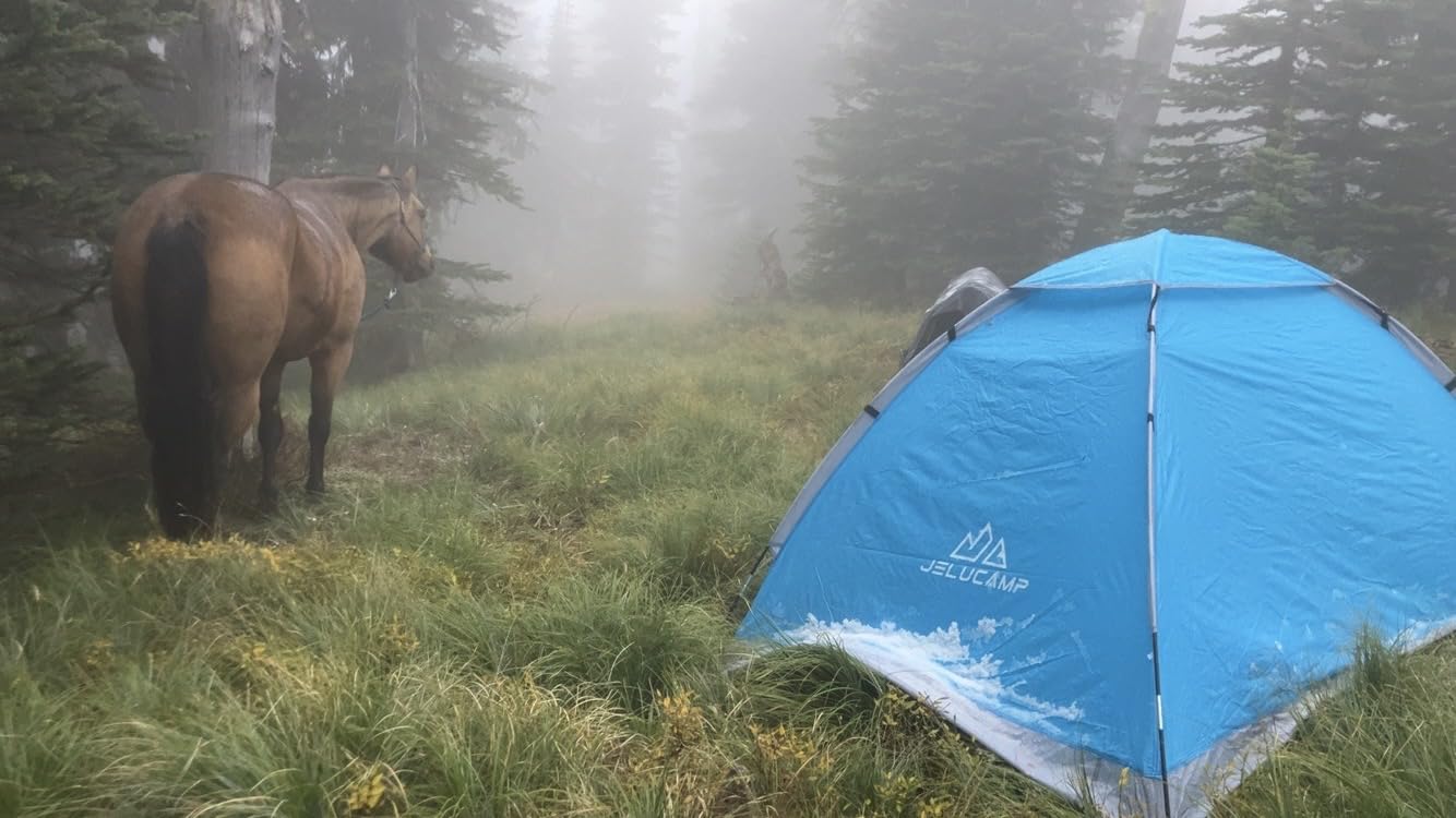 1/2/4/5/6 Person Dome Tents for Camping, Lightweight Portable Backpacking Tent, Small Easy Set Up Outdoor Waterproof Camping Hiking Tent for Adults - Customer Photo 3