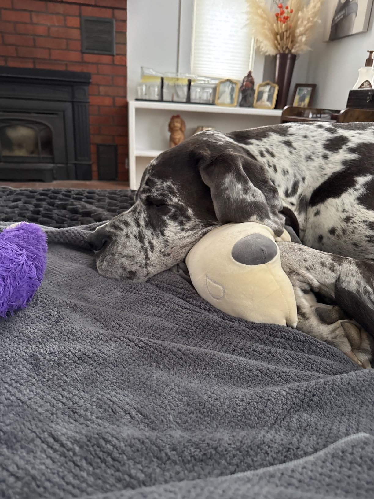 HOMEXCEL 8 Piece Bath Towel Set, Microfiber Bathroom Towel - 2 Bath Towels, 2 Hand Towels, and 4 Wash Cloths, Super Soft, Highly Absorbent Towels for Bathroom, Gym, Hotel, and Spa (Grey) - Customer Photo 3