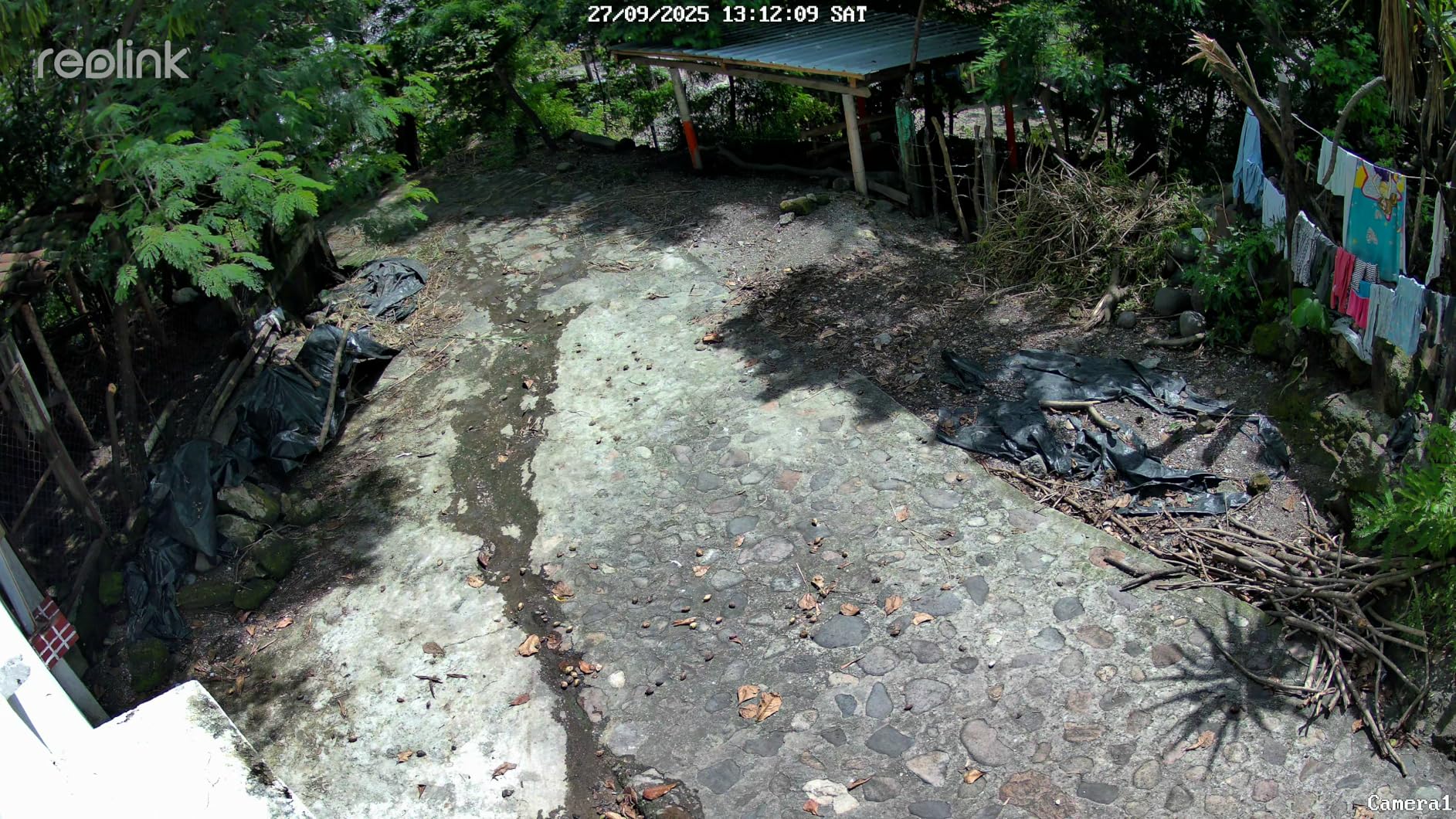 REOLINK 4K PoE Security Outdoor IP Camera with 355° Pan & 50° Tilt, Color Night Vision for Home Surveillance, Auto Tracking, Smart Detection, Two-Way Talk, 24/7 Recording, E1 Outdoor SE PoE - Customer Photo 3