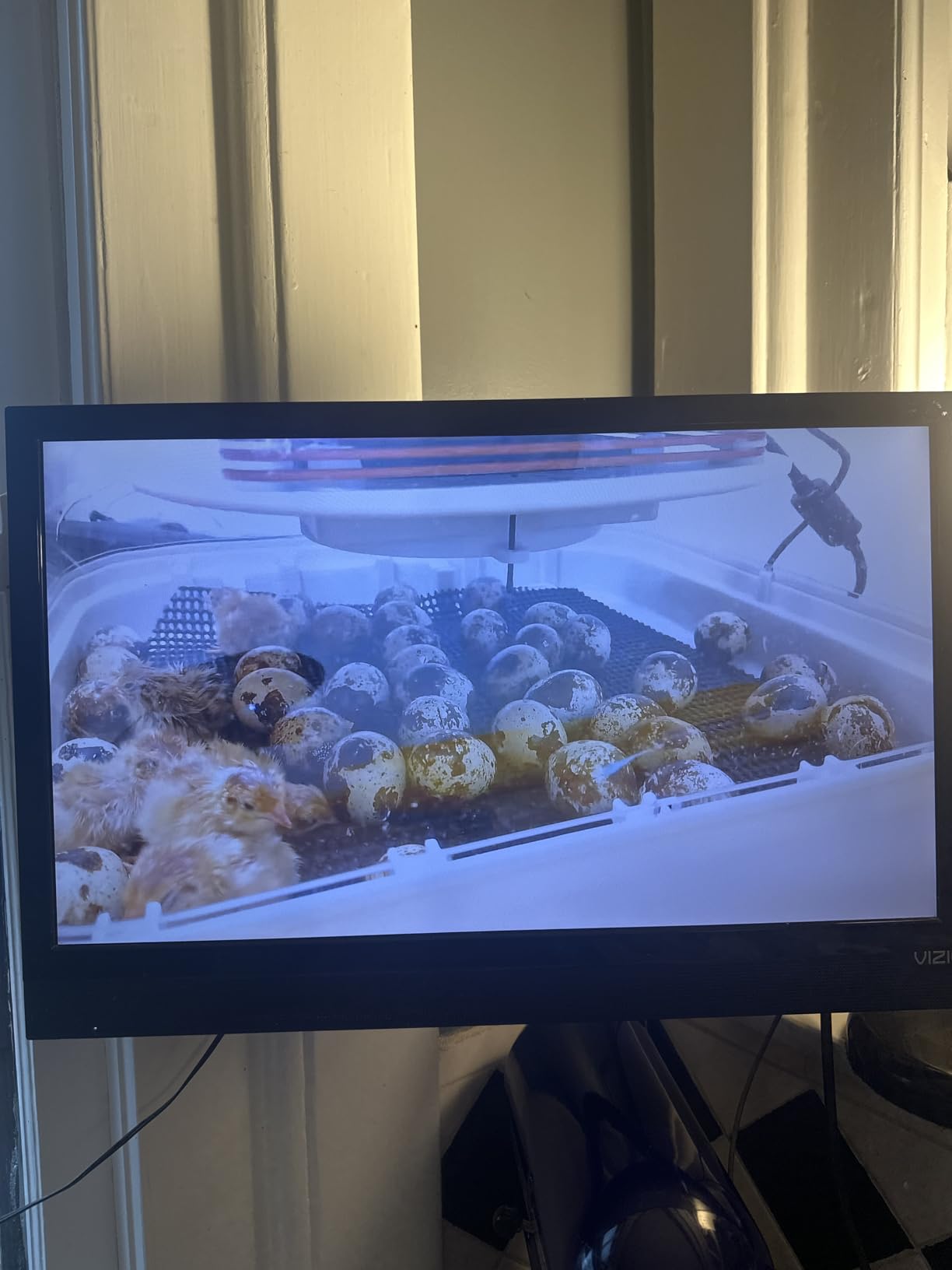 EMEET S600 4K Webcam for Streaming - Sony 1/2.55'' Sensor, PDAF Autofocus, 1080P@60FPS, 2 Noise Reduction Mics, Built-in Privacy Cover, 73° FOV, Streaming Camera for Live Commerce/Gaming/Beauty - Customer Photo 2