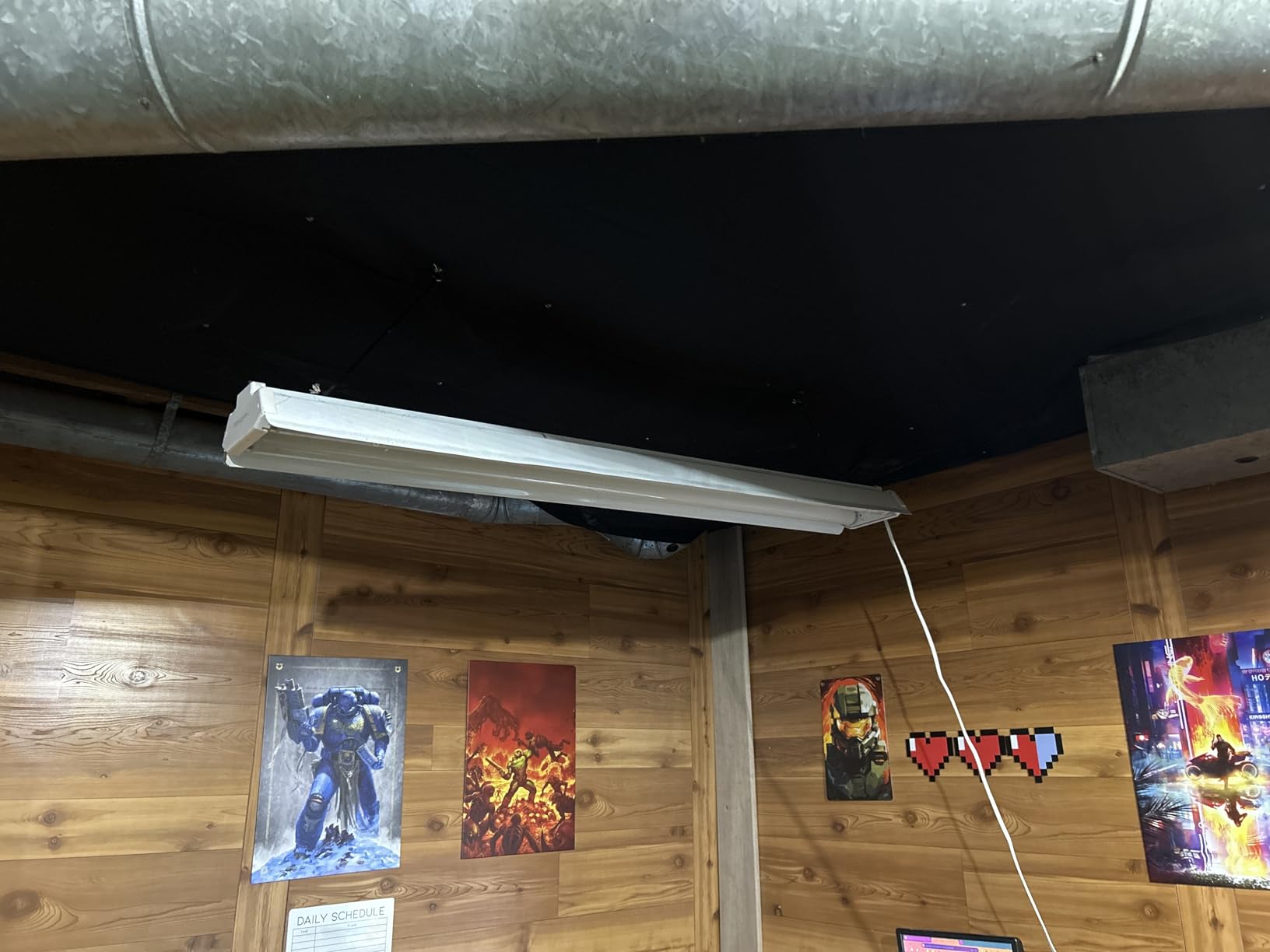 10 x 10 FT Black Backdrop Background, 100% Polyester Photography Backdrop Foldable Washable Black Screen for Photoshoot Portraits Party Video Studio Shooting Customer Review 10 x 10 FT Black Backdrop Background, 100% Polyester Photography Backdrop Foldable Washable Black Screen for Photoshoot Portraits Party Video Studio Shooting - Customer Photo 2