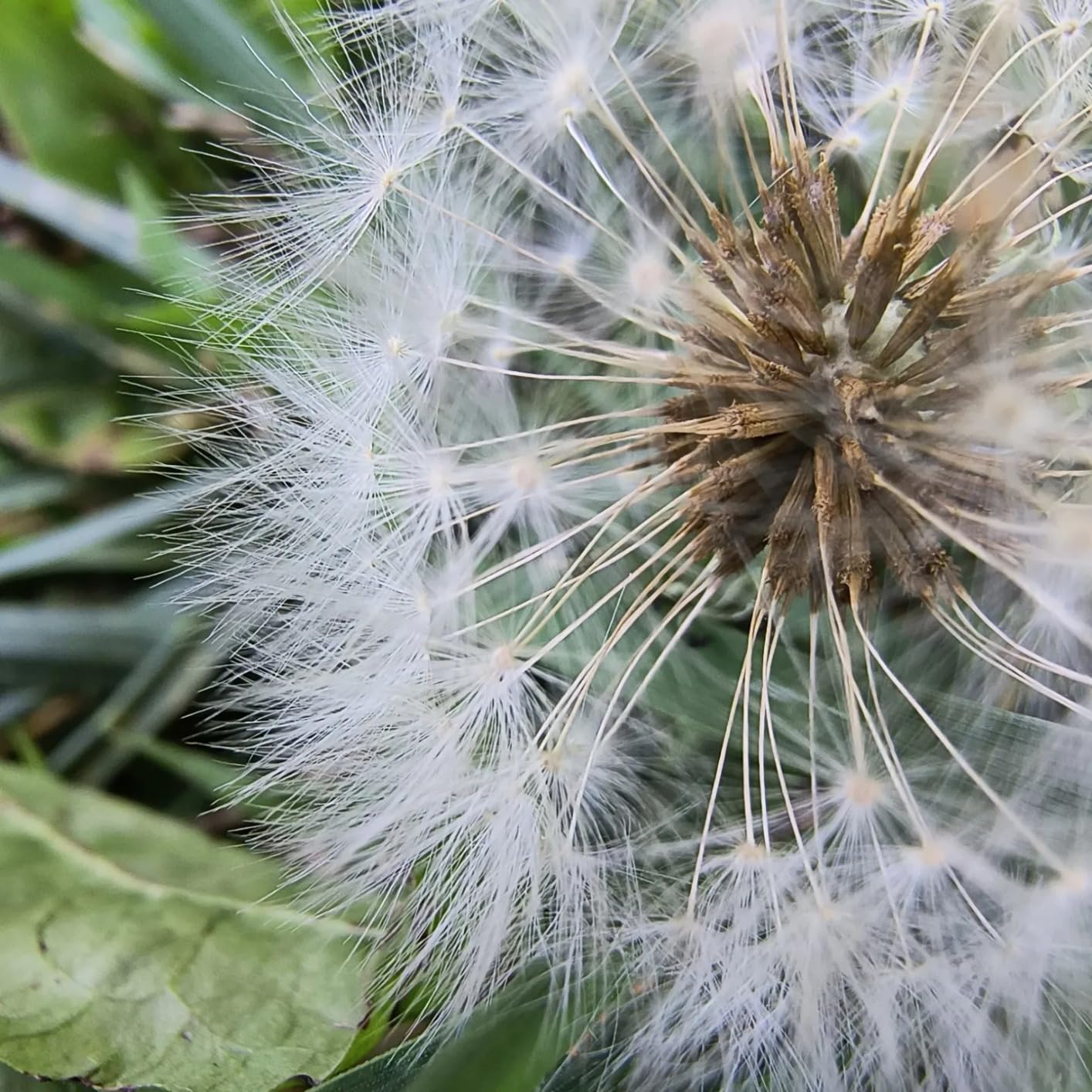 Motorola Edge | 2024 | Unlocked | Made for US 8/256GB | 50MP Camera | Midnight Blue - Customer Photo 4