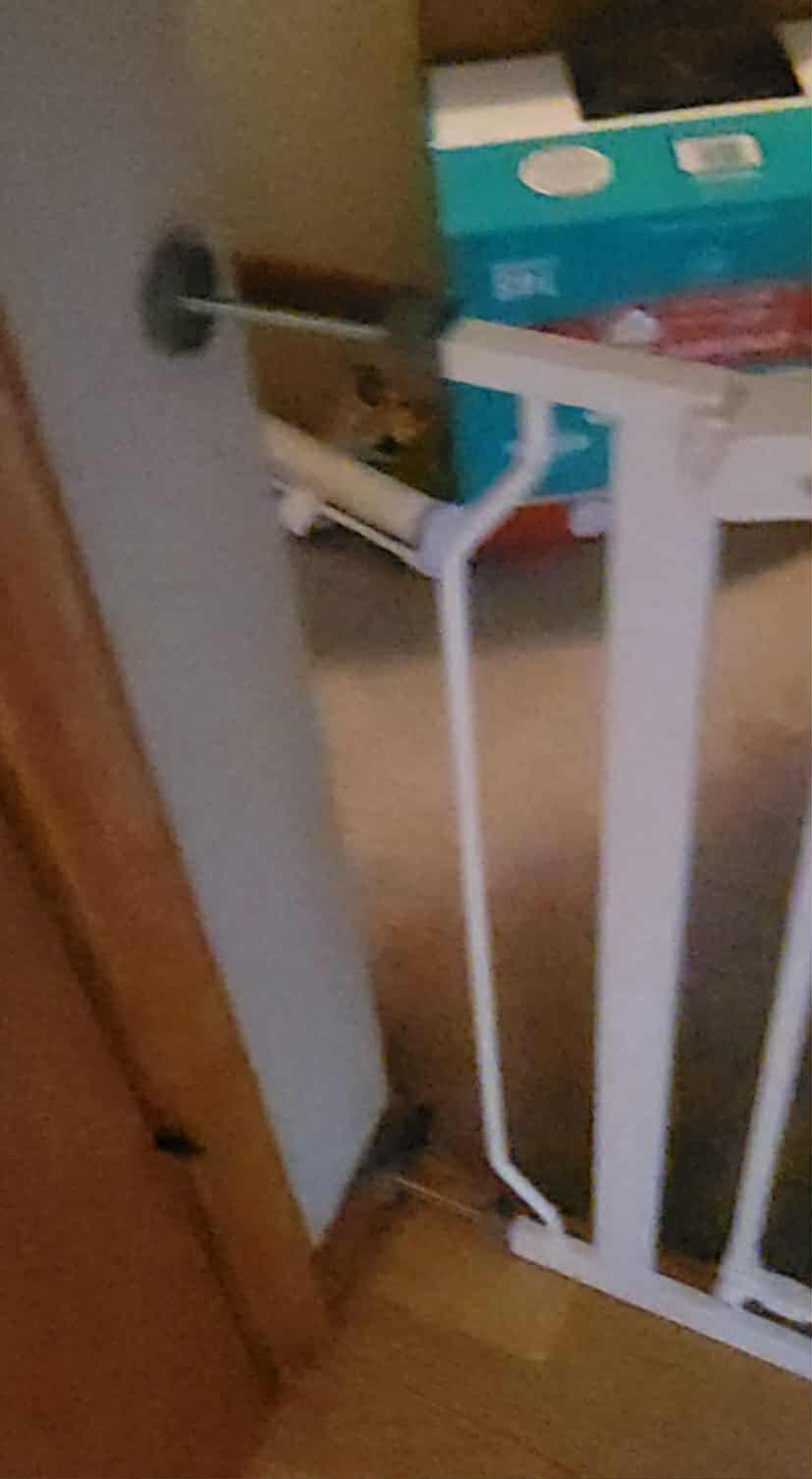 Regalo Easy Step 38.5-Inch Wide Walk Thru Baby Gate, Includes 6-Inch Extension Kit, Pressure Mount Kit, Wall Cups, Black - Customer Photo 1