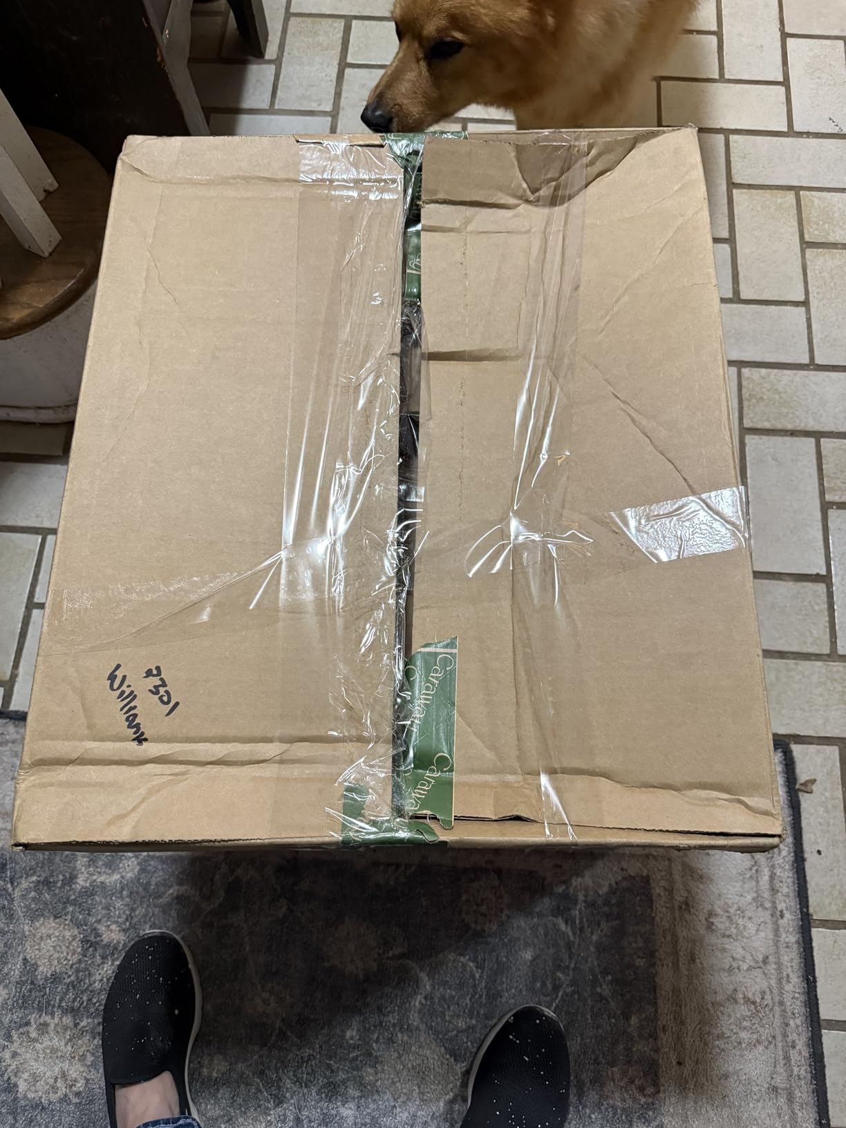 Caraway 4-Piece Fry Pan Set - Non-Stick Frying Pans (10.5