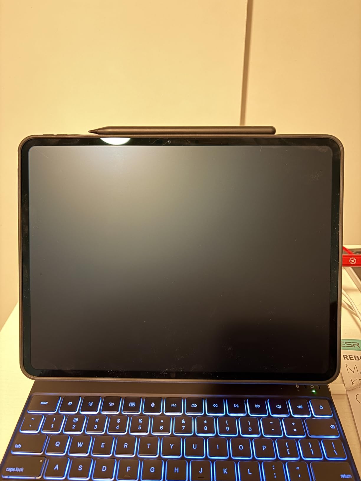 Apple iPad Pro 2024 (13-inch, Wi-Fi, 256GB) - Space Black (Renewed) - Customer Photo 2