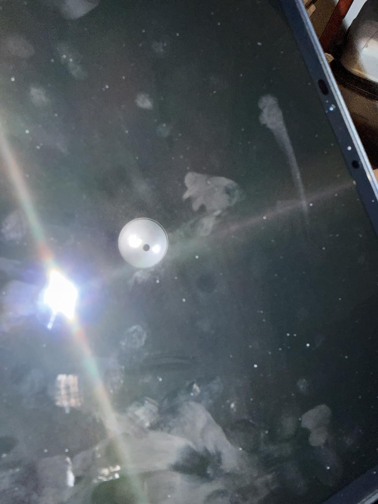 Apple iPad Pro 2024 (11-inch, Wi-Fi, 256GB) - Space Black (Renewed) - Customer Photo 2