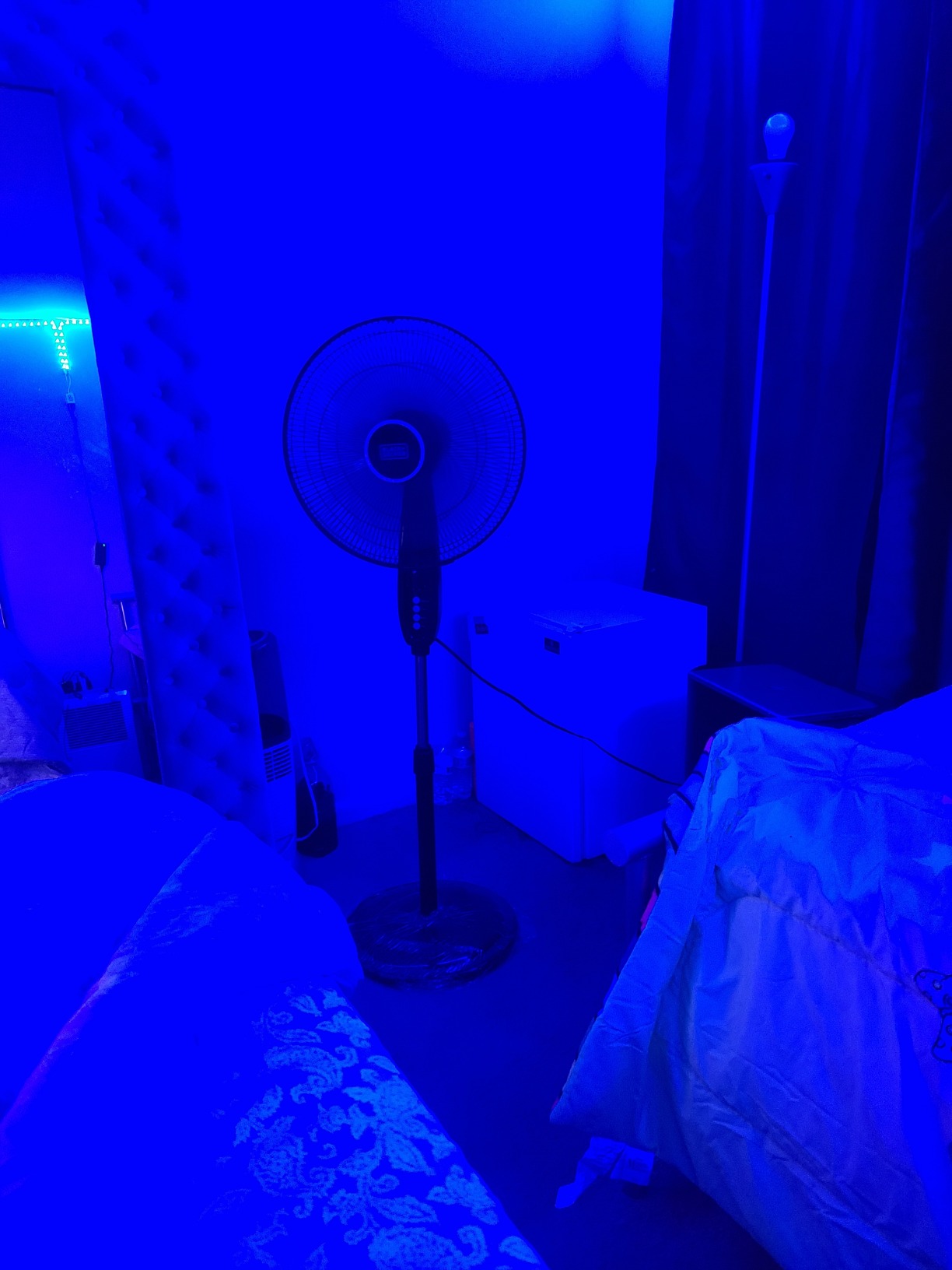 BLACK+DECKER 16-Inch Pedestal Fan, BFP16MXB, Oscillating Fan for Home and Office, Standing Fan with 3 Speed Settings, Height Adjustable with Adjustable Head Tilt, Black - Customer Photo 1