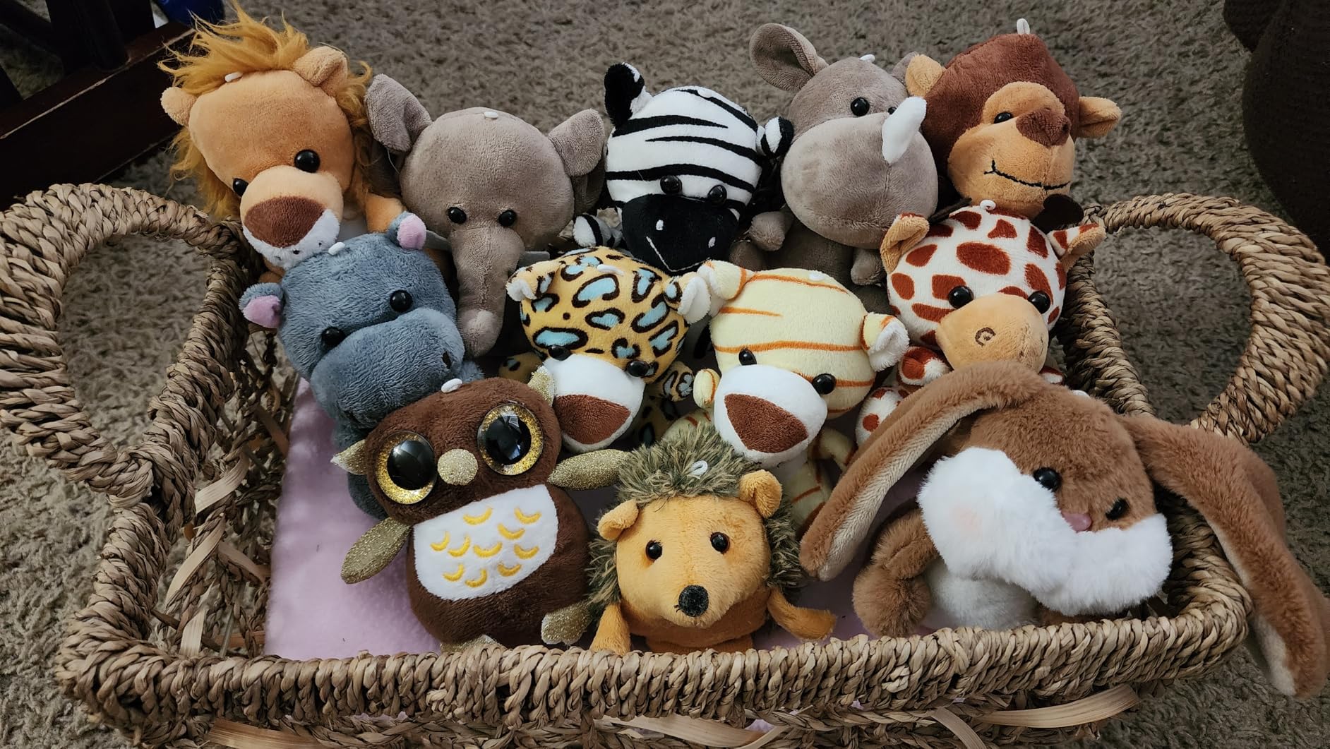 Arrozon 12 Pcs Small Stuffed Animals Bulk, 4.5 Inch Mini Stuffed Animals, Keychain Plush Toys Stocking Stuffers for Kids, Carnival Claw Machine Prizes, Classroom Treasure Box, Pinata Stuffers - Customer Photo 1