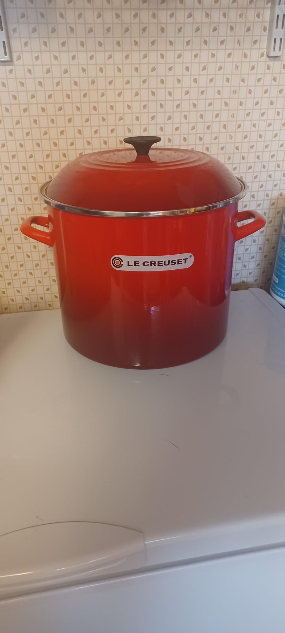 Le Creuset Enamel on Steel Stockpot, 10 qt., Olive - Customer Photo 2