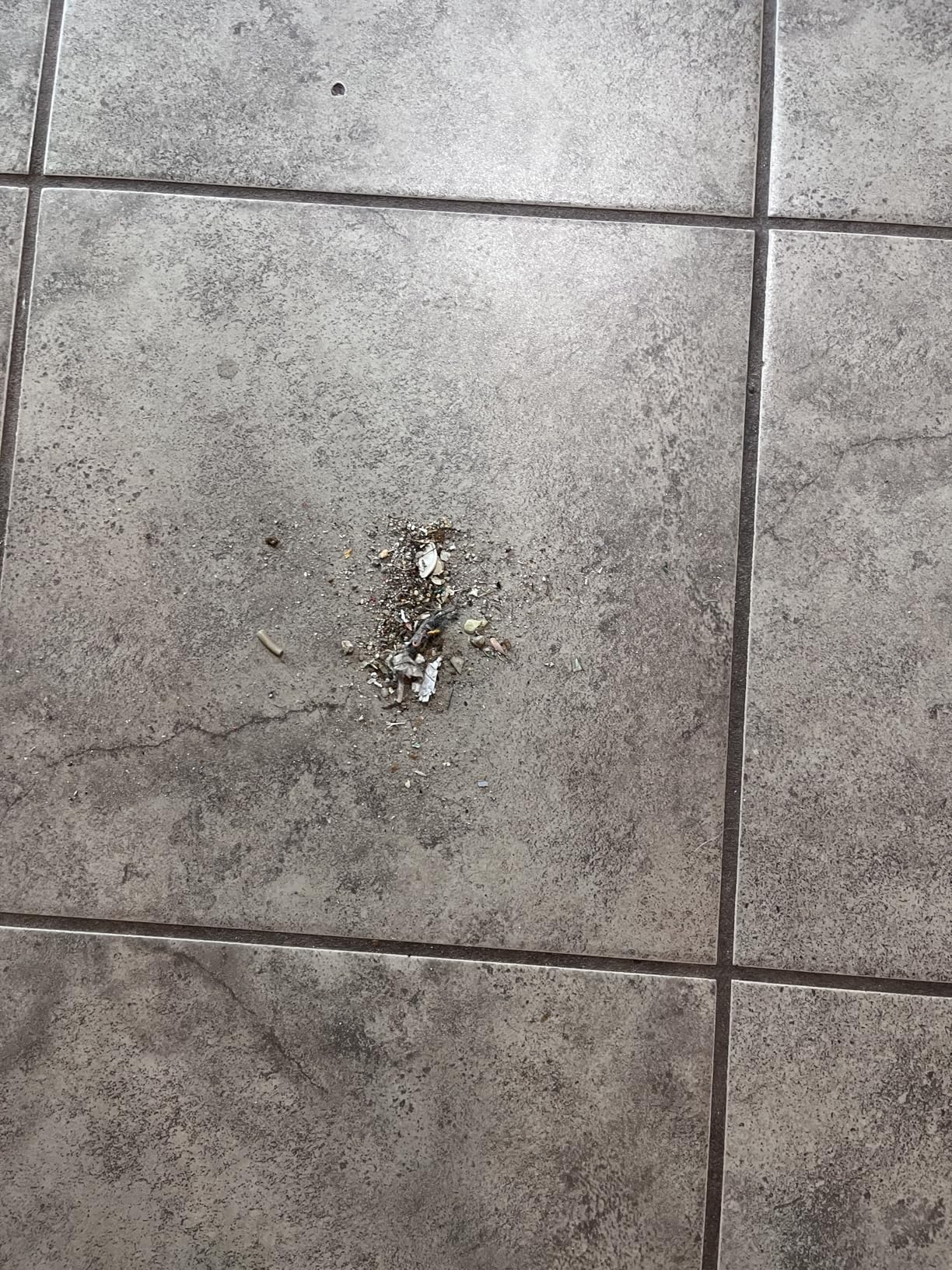 DREAME D10 Plus Gen 2 Robot Vacuum and Mop with Self Emptying Base for 90 Days of Cleaning, 6000 Pa Suction and LiDAR Navigation, Obstacle Avoidance, Wi-Fi Connected - Customer Photo 5