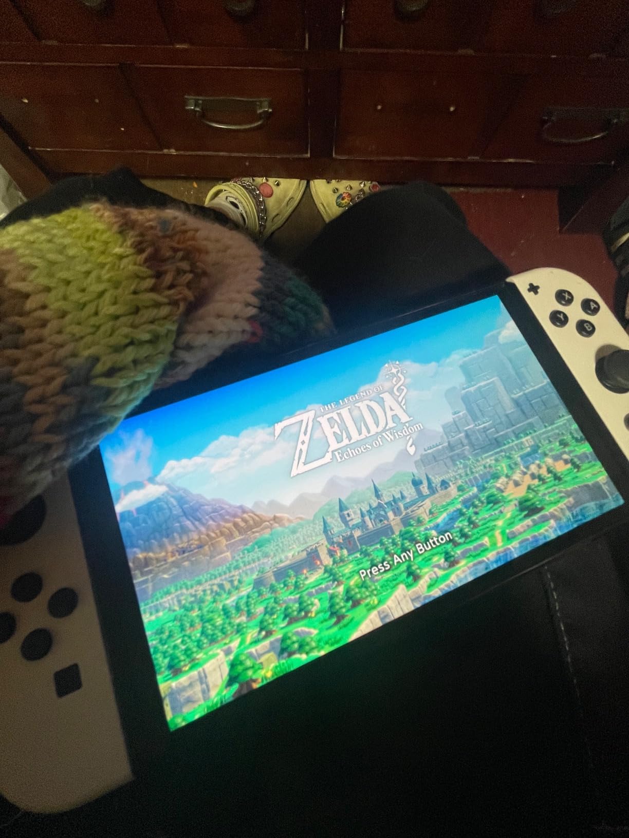 The Legend of Zelda: Echoes of Wisdom - Customer Photo 2