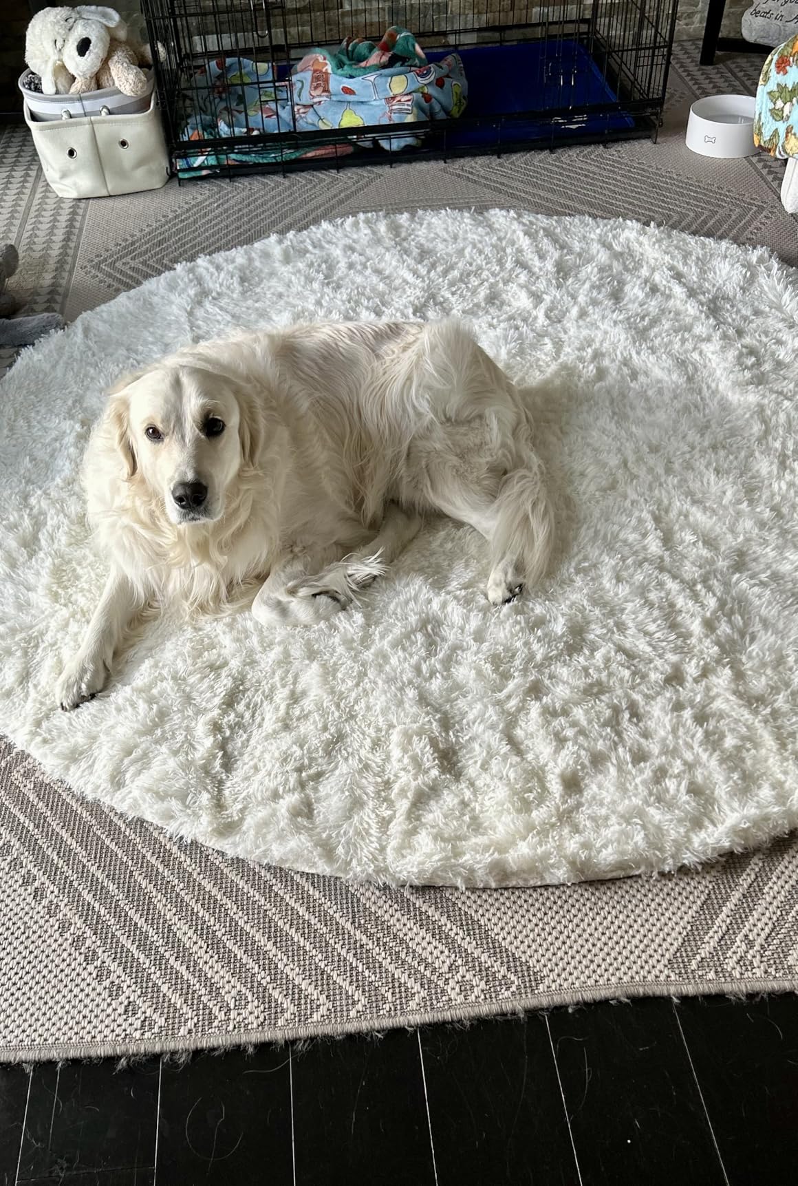 OLANLY 6x9 Machine Washable Large Area Rugs for Living Room, Bedroom, Soft Fluffy Shaggy Bedside Rug, Indoor Floor Carpet for Kids Girls and Boys, Dorms, Nursery, Home Decor Aesthetic, Black Customer Review OLANLY 6x9 Machine Washable Large Area Rugs for Living Room, Bedroom, Soft Fluffy Shaggy Bedside Rug, Indoor Floor Carpet for Kids Girls and Boys, Dorms, Nursery, Home Decor Aesthetic, Black - Customer Photo 1