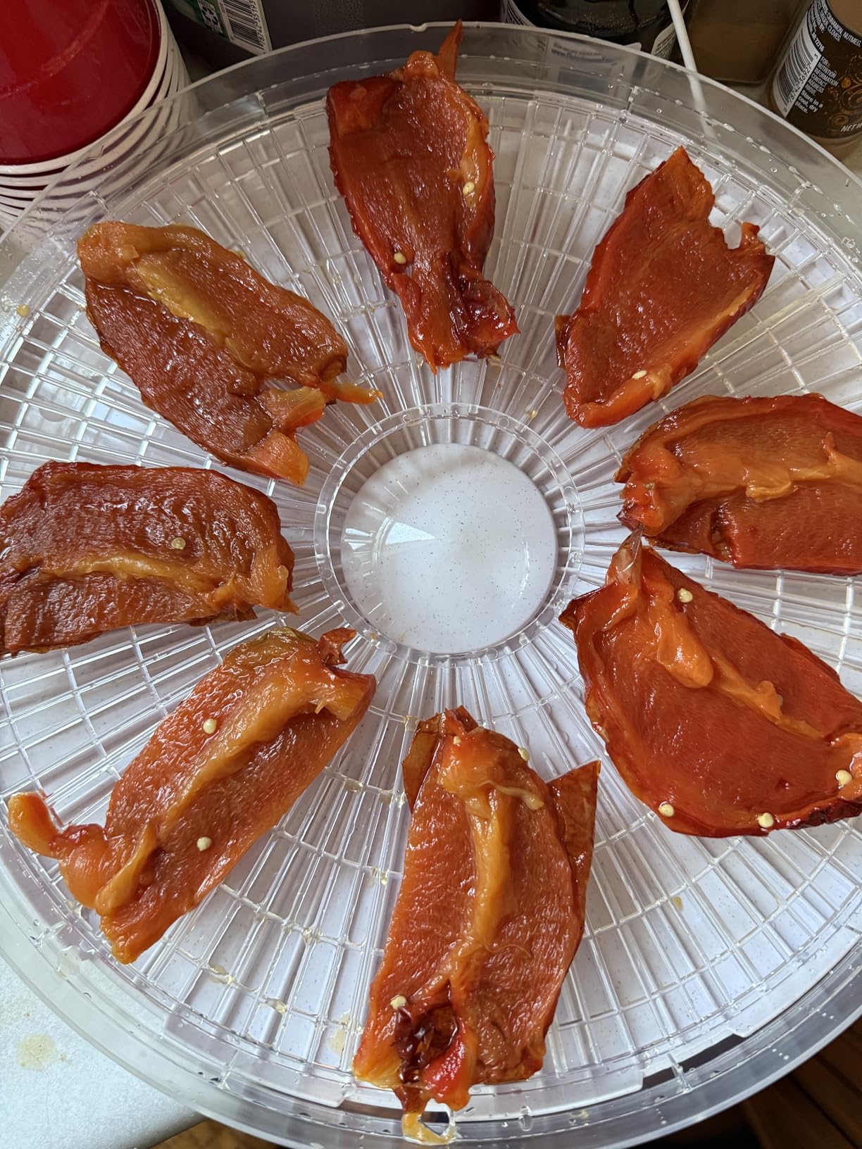 LAMPICK Smoothie Blender, 1100W Personal Blender for Shakes and Smoothies, Blenders and Grinder Combo for Kitchen with 2 * 22 Oz To-Go Cup and Lid for Protein Shake, Baby Food, Frozen Drink Customer Review LAMPICK Smoothie Blender, 1100W Personal Blender for Shakes and Smoothies, Blenders and Grinder Combo for Kitchen with 2 * 22 Oz To-Go Cup and Lid for Protein Shake, Baby Food, Frozen Drink - Customer Photo 1