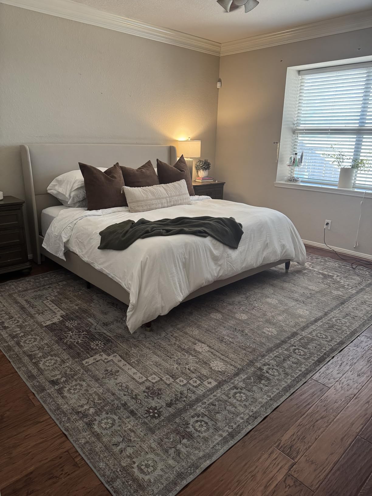 Area Rugs 5x7 for Living Room Bedroom, Modern Abstract Machine Washable Large Light Green Rug Soft Rug, Low Pile Floor Carpet with Non Slip Backing for Dining Room Customer Review Area Rugs 5x7 for Living Room Bedroom, Modern Abstract Machine Washable Large Light Green Rug Soft Rug, Low Pile Floor Carpet with Non Slip Backing for Dining Room - Customer Photo 1