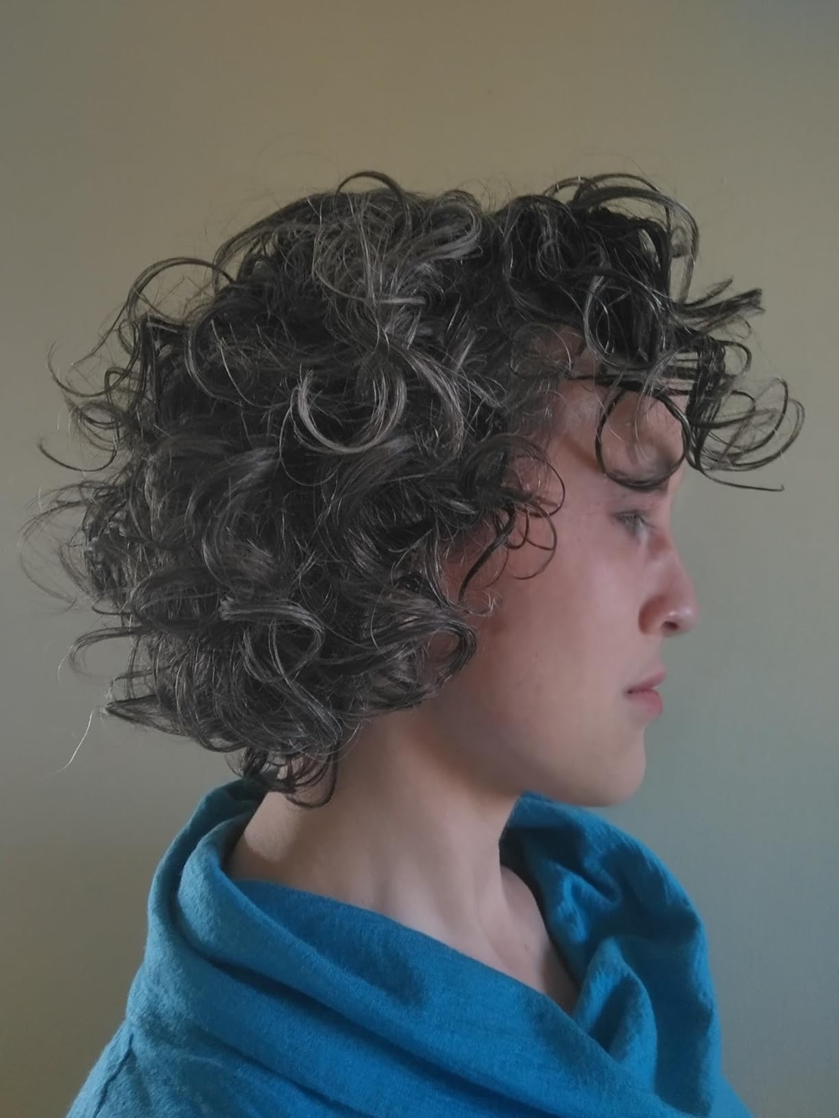 Shark SpeedStyle Pro Professional Performance High-Velocity Hair Dryer System with Scalp Shield and IQ Speed Styling & Drying Suite, Straight and Wavy Hair, Lightweight, Ionic, No Heat Damage, HD731 - Customer Photo 1