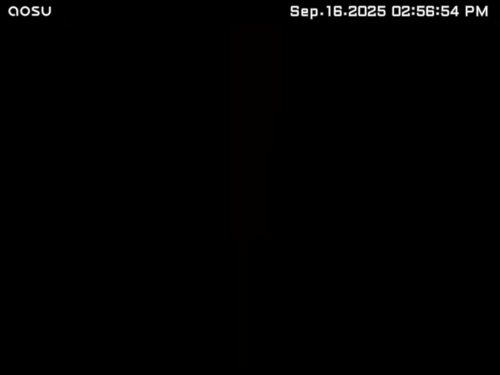 Blink Outdoor 4 – Wireless smart security camera, two-year battery life, 1080p HD day and infrared night live view, two-way talk. Sync Module Core included – 2 camera system - Customer Photo 1