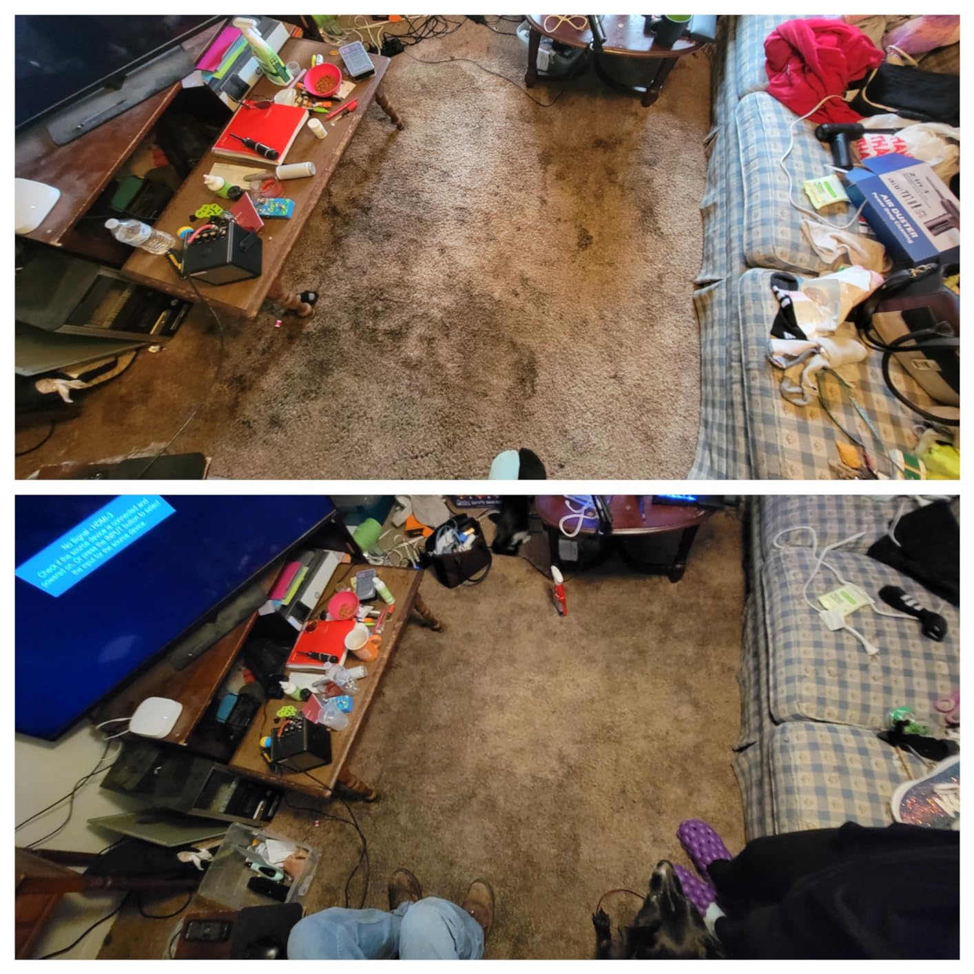 PurSteam Professional Steam Mop | Multi-Surface Floor Cleaner for Hardwood, Tile, Laminate & Carpet | Fast Heating, Lightweight & Chemical-Free Cleaning - Customer Photo 2