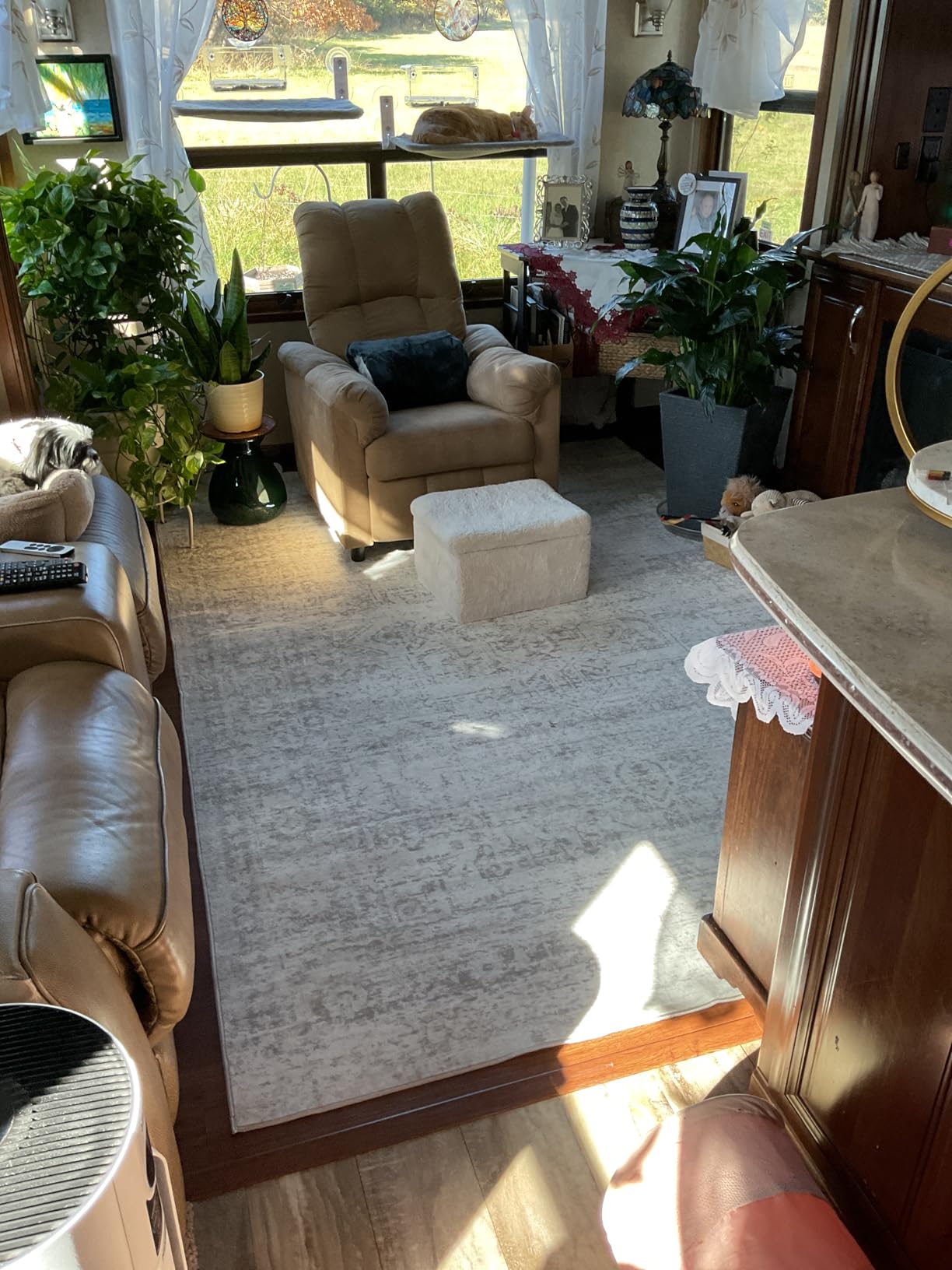 Washable Rugs 8x10 Area Rugs for Living Room,Ultra Soft Faux Wool Retro Rugs for Bedroom,Dining Room,Non Slip&Non-Shedding Low Pile Vintage Print Rug Indoor Large Carpets for Home Office Decor Customer Review Washable Rugs 8x10 Area Rugs for Living Room,Ultra Soft Faux Wool Retro Rugs for Bedroom,Dining Room,Non Slip&Non-Shedding Low Pile Vintage Print Rug Indoor Large Carpets for Home Office Decor - Customer Photo 1