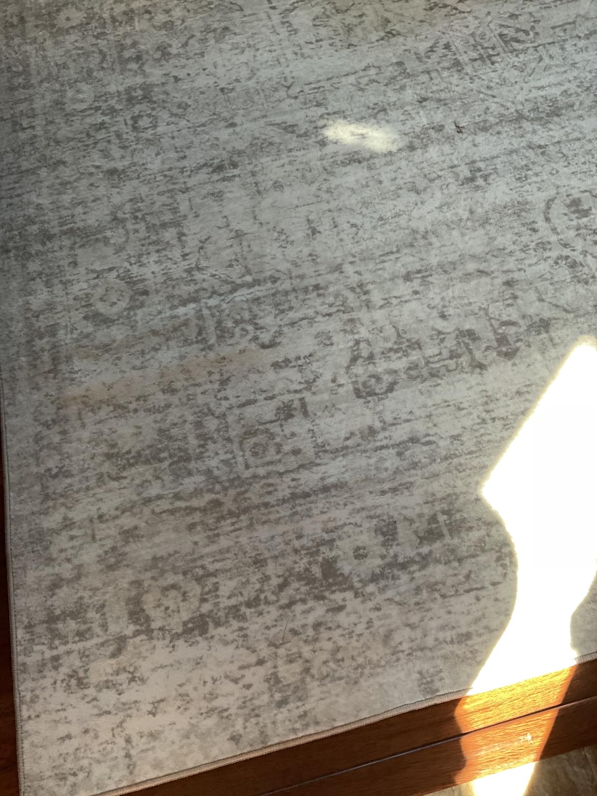 Washable Rugs 8x10 Area Rugs for Living Room,Ultra Soft Faux Wool Retro Rugs for Bedroom,Dining Room,Non Slip&Non-Shedding Low Pile Vintage Print Rug Indoor Large Carpets for Home Office Decor Customer Review Washable Rugs 8x10 Area Rugs for Living Room,Ultra Soft Faux Wool Retro Rugs for Bedroom,Dining Room,Non Slip&Non-Shedding Low Pile Vintage Print Rug Indoor Large Carpets for Home Office Decor - Customer Photo 2