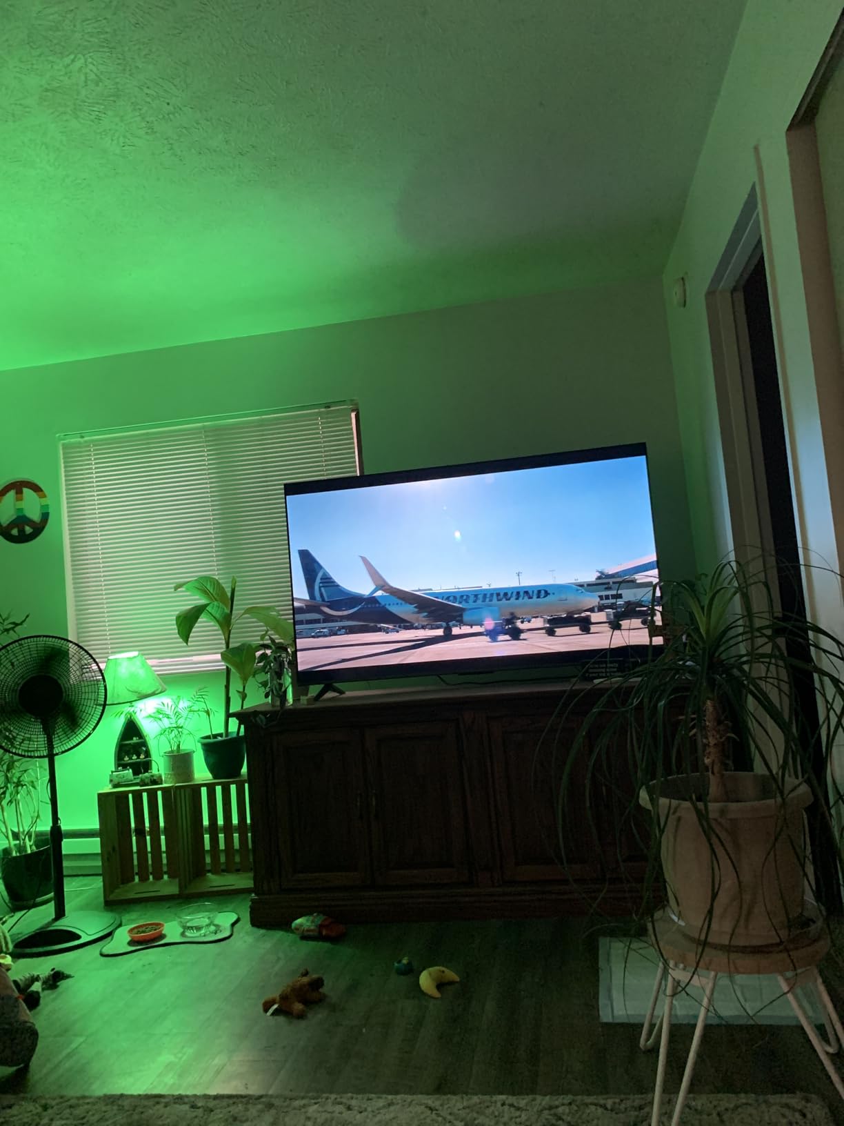 INSIGNIA 65-inch Class F50 Series LED 4K UHD Smart Fire TV with Alexa Voice Remote (NS-65F501NA24) - Customer Photo 2