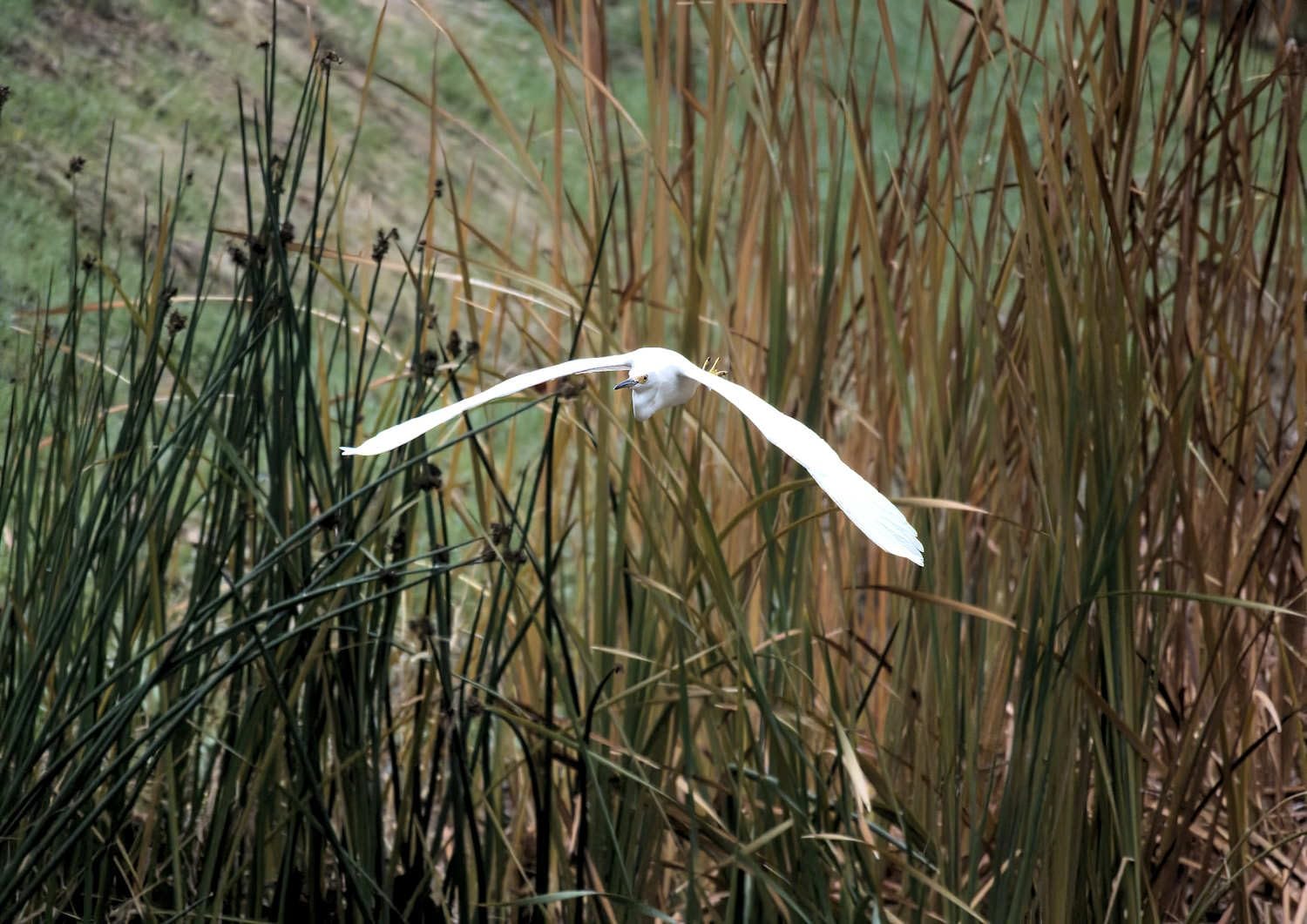 Nikon Z50 II with Two Lenses | Compact mirrorless Stills/Video Camera with Easy Color presets and Wireless Photo Sharing | Nikon USA Model Customer Review Nikon Z50 II with Two Lenses | Compact mirrorless Stills/Video Camera with Easy Color presets and Wireless Photo Sharing | Nikon USA Model - Customer Photo 2