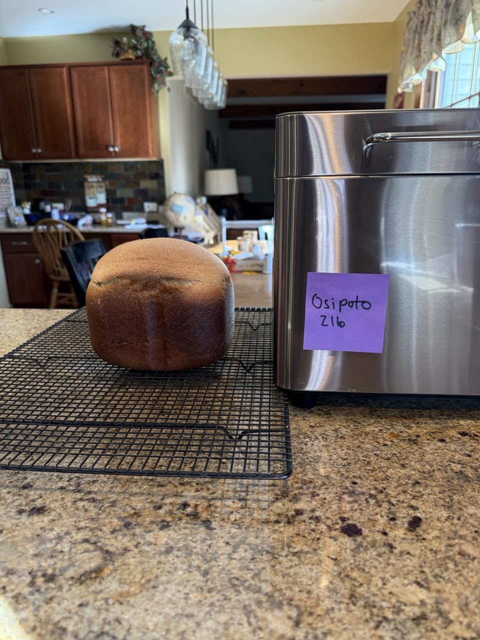 2LB Bread Maker Machine, OSIPOTO 17 in 1 Automatic Stainless Steel Bread Machine, Non-stick, Beginner-Friendly Controls, 15 Hour Timer, Easy to Clean Low Noise, High Success Rate for Homemade Bread - Customer Photo 1