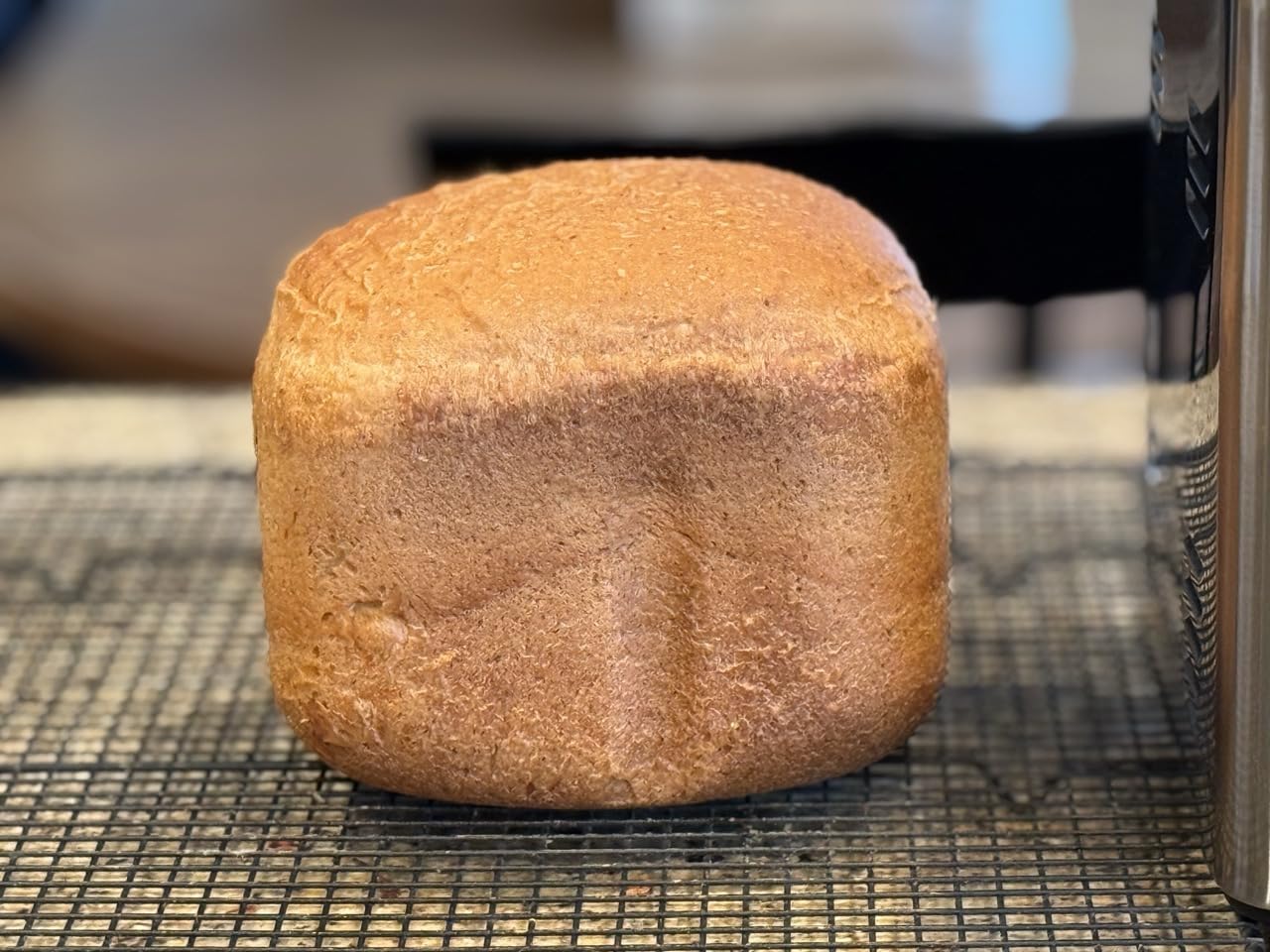 2LB Bread Maker Machine, OSIPOTO 17 in 1 Automatic Stainless Steel Bread Machine, Non-stick, Beginner-Friendly Controls, 15 Hour Timer, Easy to Clean Low Noise, High Success Rate for Homemade Bread - Customer Photo 5