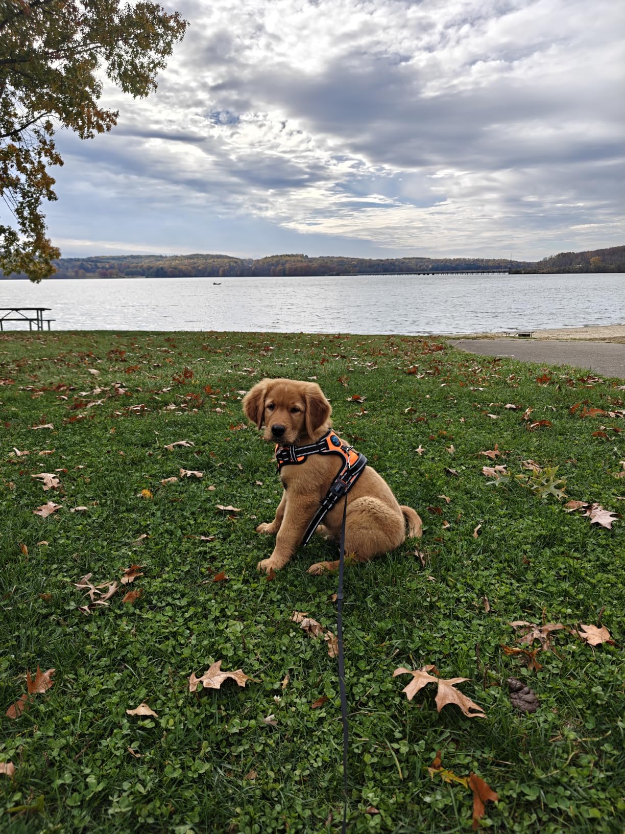 OnePlus 13,12GB RAM + 256GB Storage, Dual-SIM, Unlocked Android Smartphone, Snapdragon 8 Elite, 80W SUPERVOOC Fast Charging and 50W AIRVOOC Charging, Advanced Hasselblad Camera, 2025, Black Eclipse Customer Review OnePlus 13,12GB RAM + 256GB Storage, Dual-SIM, Unlocked Android Smartphone, Snapdragon 8 Elite, 80W SUPERVOOC Fast Charging and 50W AIRVOOC Charging, Advanced Hasselblad Camera, 2025, Black Eclipse - Customer Photo 2