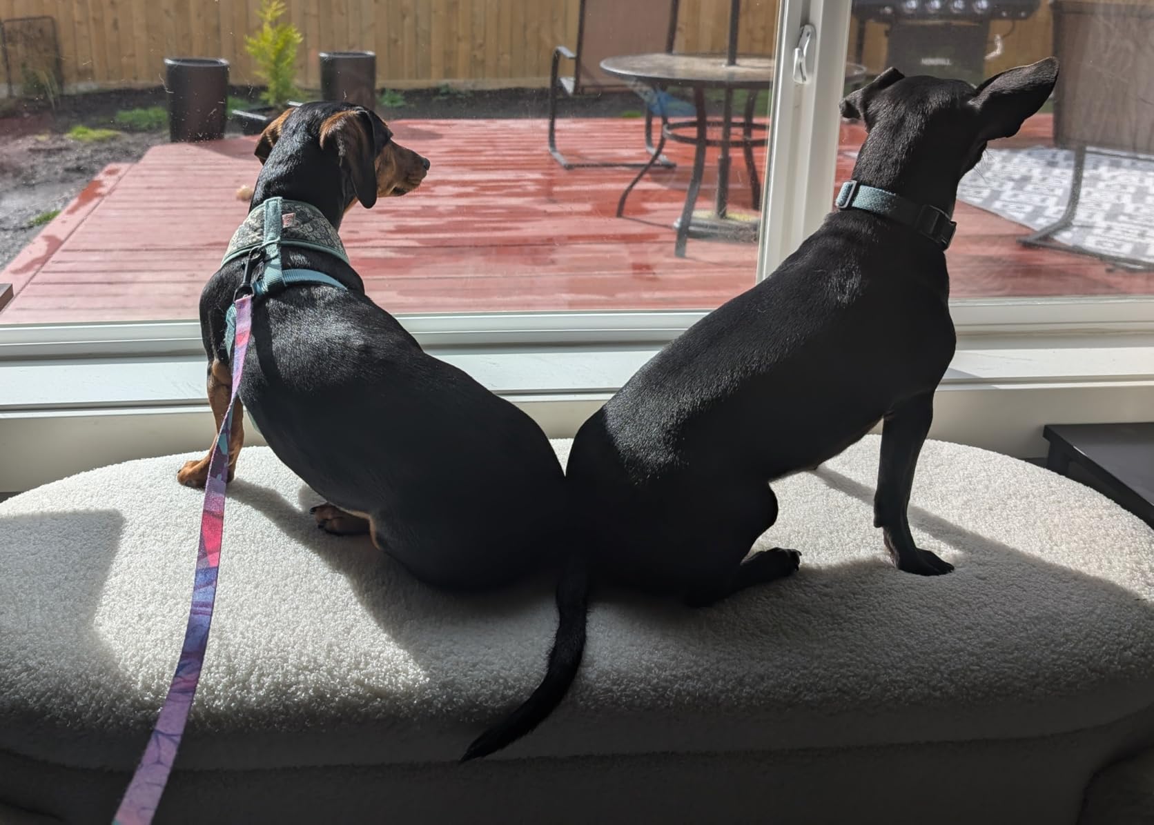 BIRDROCK HOME Sherpa Upholstered Storage Bench | Cozy Seat with Soft Sherpa Cushion, Versatile for Living Room, Bedroom, or Entryway Ottoman | Sturdy Design, 38