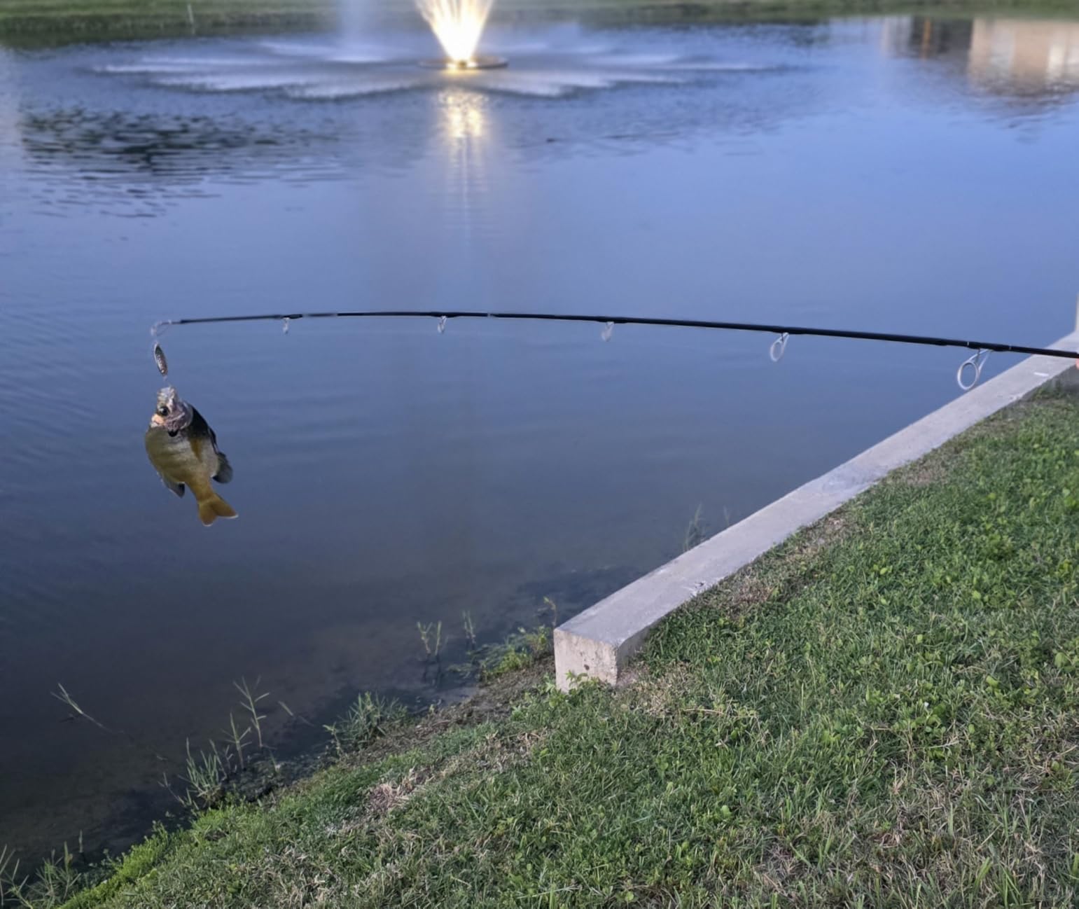 Fishing Lures - 2025 New Tackle Box with Tackle Included, Fishing Kit with VIBs, Frogs, Minnows, Soft Baits, Hooks & Weights Accessories, Freshwater Lure Kit for Bass Walleye Trout - Customer Photo 2