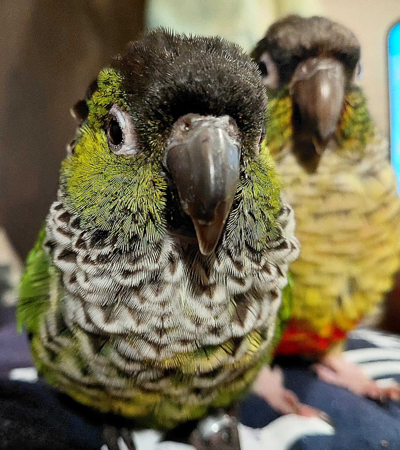 Samsung Galaxy A36 5G A Series, 128GB Unlocked Android Smartphone, AMOLED Display, Rugged Design, 5G Connectivity, Affordable Performance, US Version, 2025, US 1 Yr Warranty, Awesome Lavender - Customer Photo 5