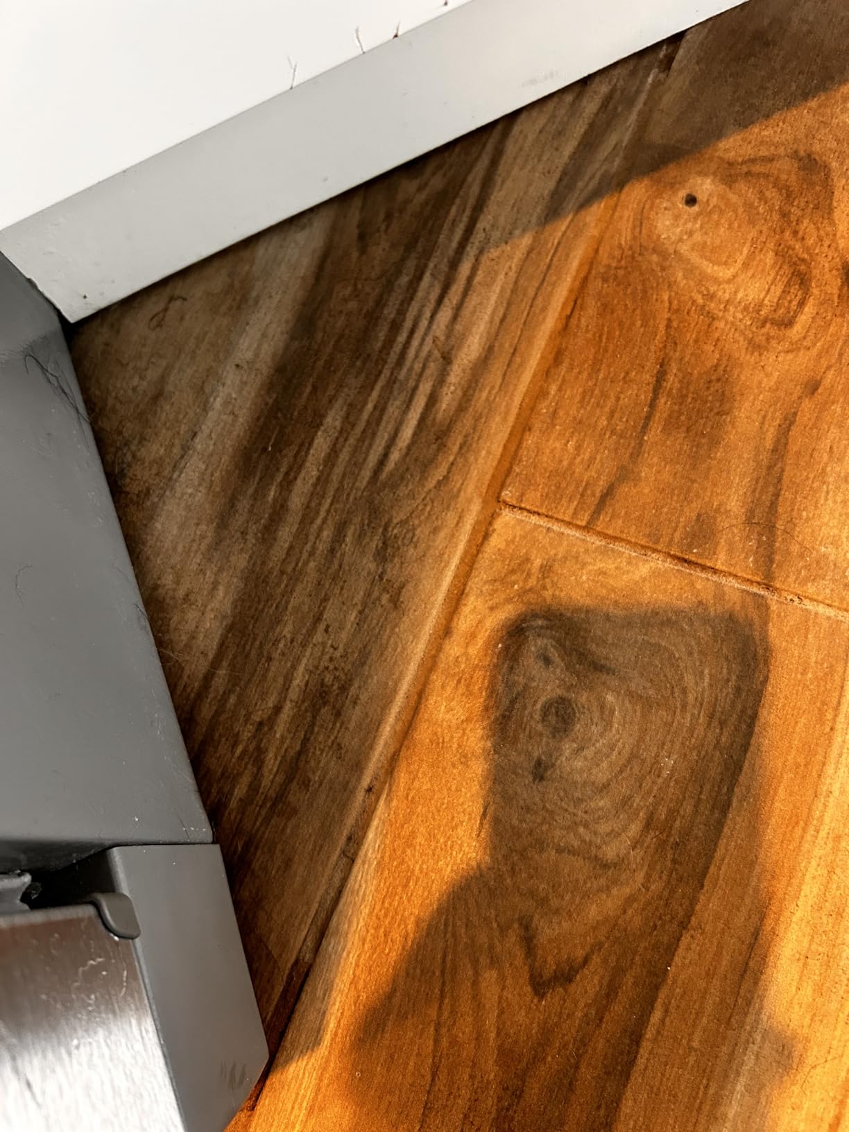 LABIGO 10-in-1 Steam Mop with Detachable Handheld Steamer, 350ml Tank, 10s Heat-Up, 248°F Steam Cleaner, 3-Level Control and Swivel Head for Floors, Carpets, Tiles, BBQ grill and Multi-Surface - Customer Photo 3