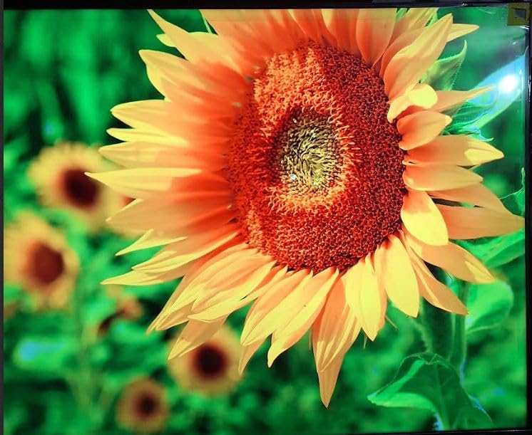 Hisense 50 Hisense 50