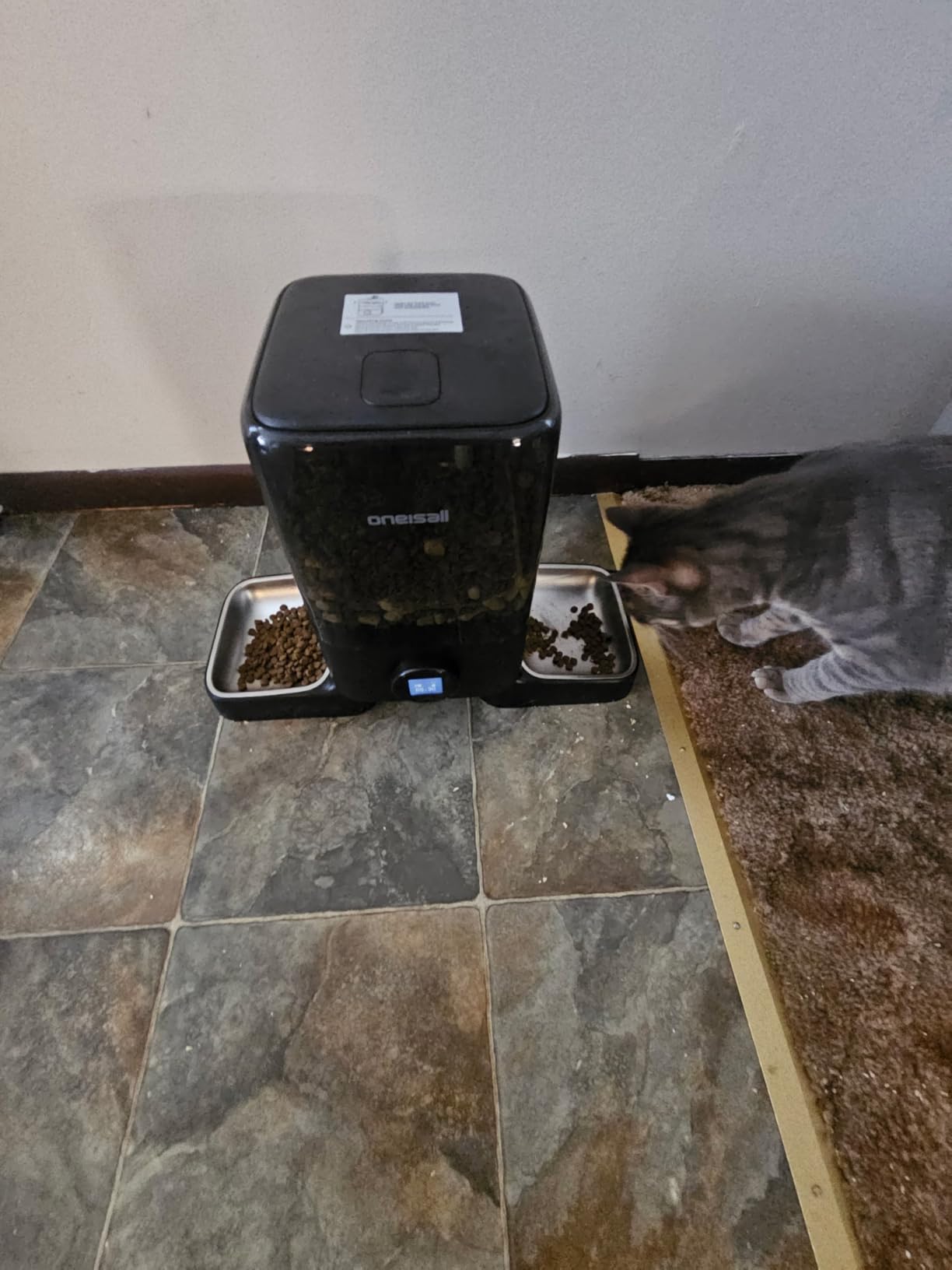 oneisall Cordless WiFi Automatic Cat Feeder for 2 Cats, Rechargeable 100-Day Battery Operated Auto Cat Feeder, 20 Cups/5L Timed Cats Food Dispenser Automatic for Large Kibble, Smart App Control. - Customer Photo 2