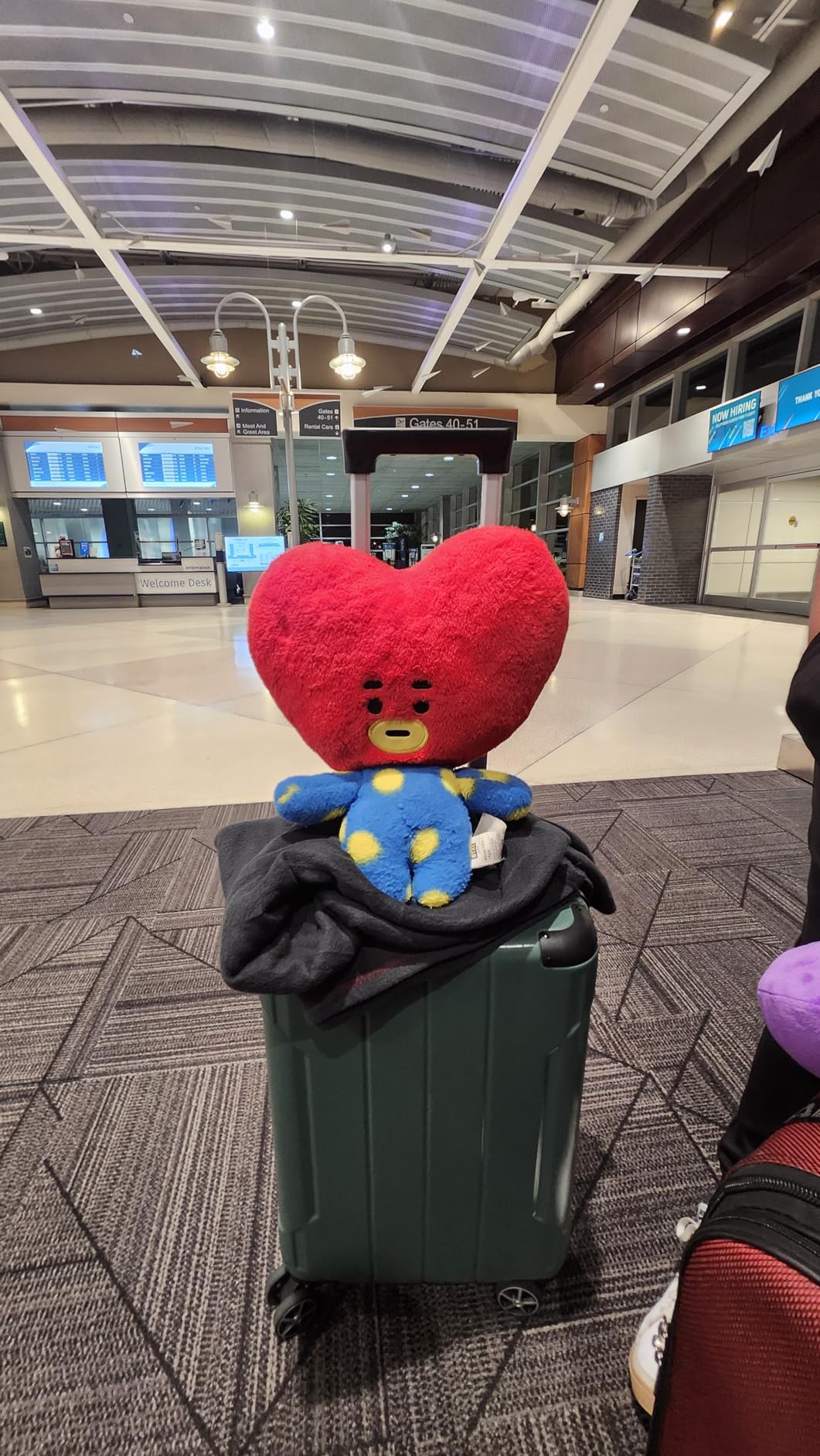 Merax Luggage Sets 3 Piece Hardshell 8 Spinner Wheels Lightweight Suitcase Corner Guards Travel Luggage (Black brown 20IN 24IN 28IN) - Customer Photo 2