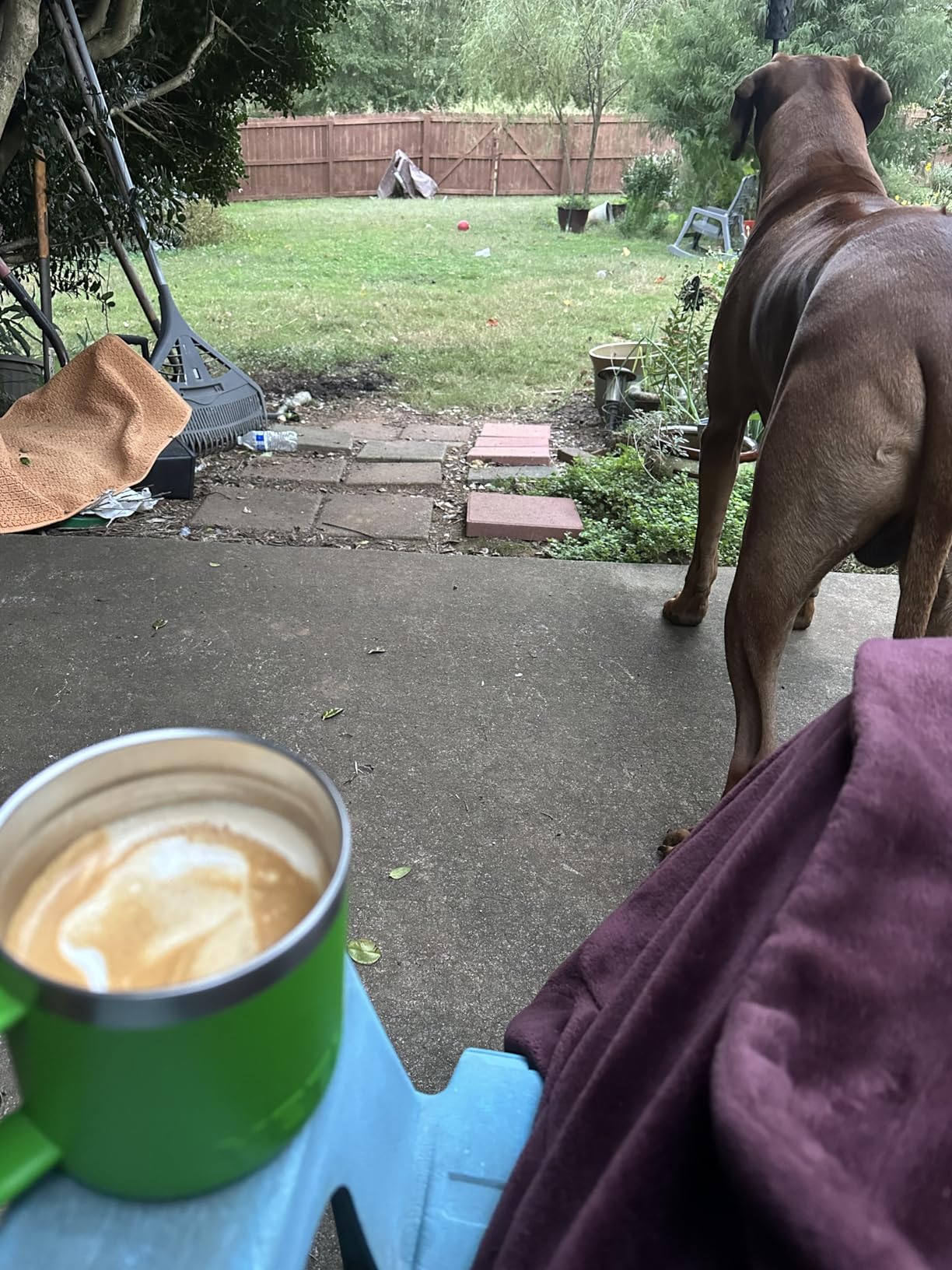 CASABREWS 5418 PRO Espresso Machine 20 Bar, Upgraded Espresso Maker with Powerful Steam Milk Frother, Stainless Steel Coffee Machine with Fast Heating System for Cappuccino, Latte, Silver customer photo 1