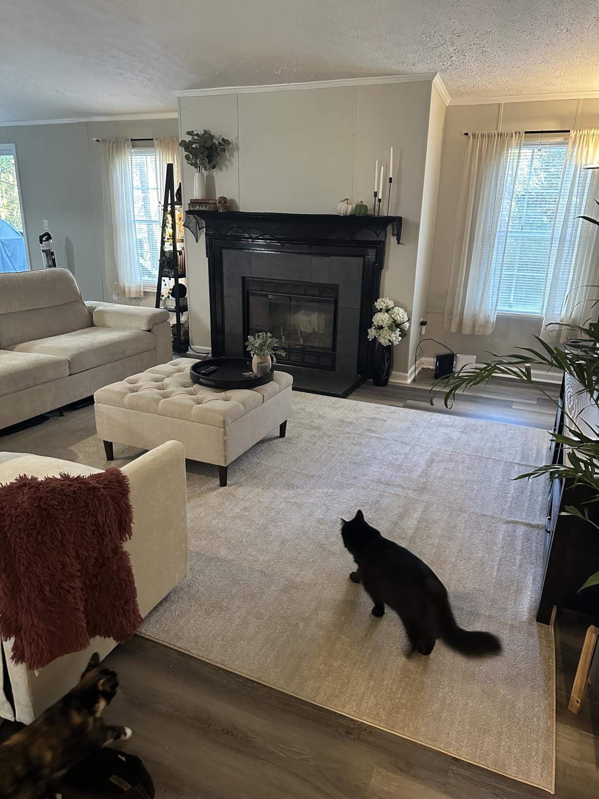 35 Inch Extra Large Storage Ottoman Coffee Table, No Assembly Required, Oversized Square Ottoman with Storage, Tufted Upholstered Ottomans Coffee Table for Living Room (Fabric, Dark Grey) - Customer Photo 2