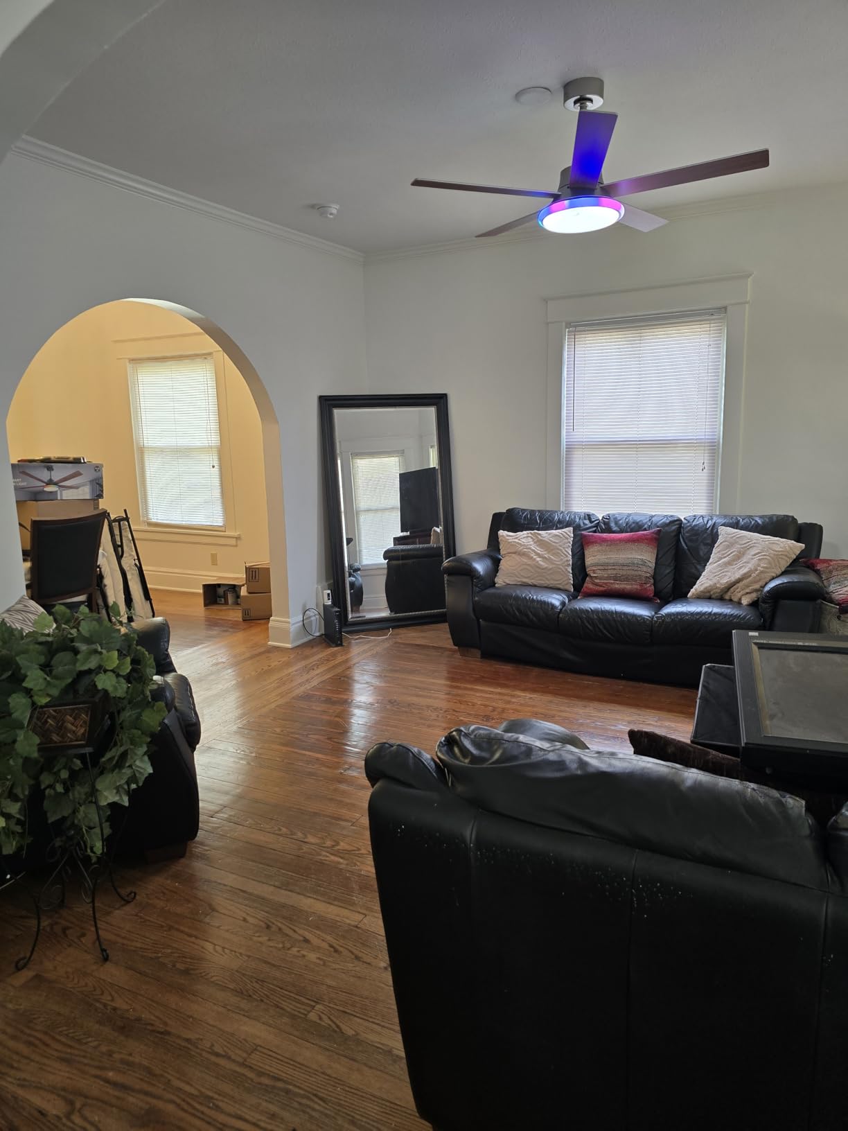 Lumary 52'' Smart Ceiling Fan with RGBAI Lights Remote, WiFi Bluetooth Low Profile Ceiling Fan with Alexa Google App, Dimmable & Color Tuning, 46 Scene, Modern Flush Mount for Bedroom Living Room Customer Review Lumary 52'' Smart Ceiling Fan with RGBAI Lights Remote, WiFi Bluetooth Low Profile Ceiling Fan with Alexa Google App, Dimmable & Color Tuning, 46 Scene, Modern Flush Mount for Bedroom Living Room - Customer Photo 1