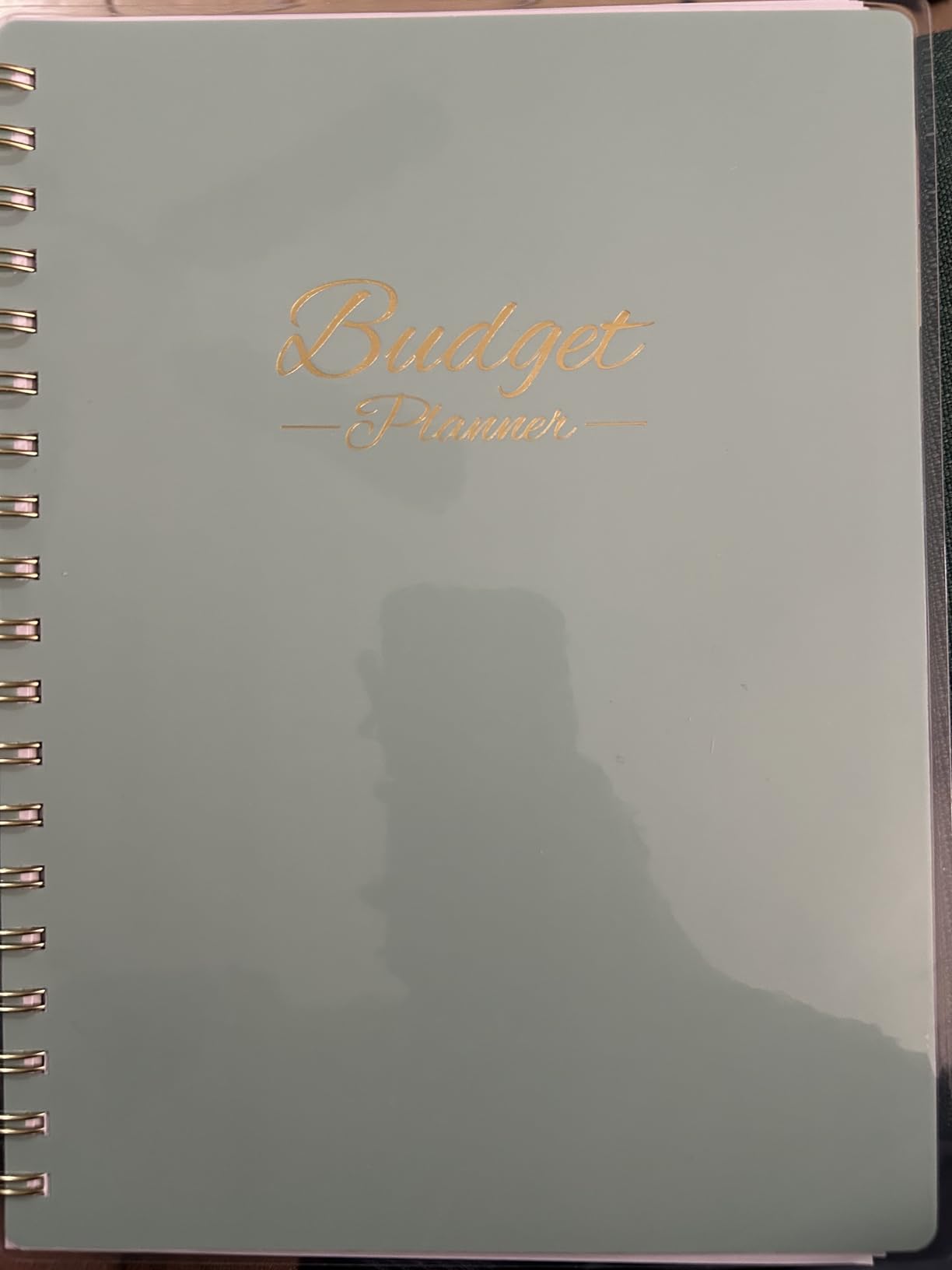 SUNEE Budget Planner - Deluxe Monthly Budget Book with 12-Pockets for Bill Organizer, Undated 12 Month Expense Tracker Notebook & Account Book B5 Size (8