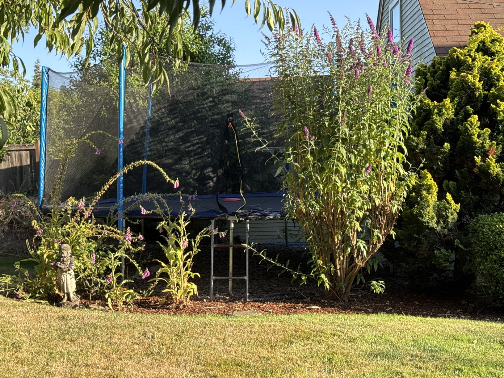 ORCC 1200LBS Weight Capacity Trampoline 16 15 14 12 10 8FT Outdoor Yard Trampolines for Kids Adults Outdoor Yard Trampolines for Kids Adults - Customer Photo 1